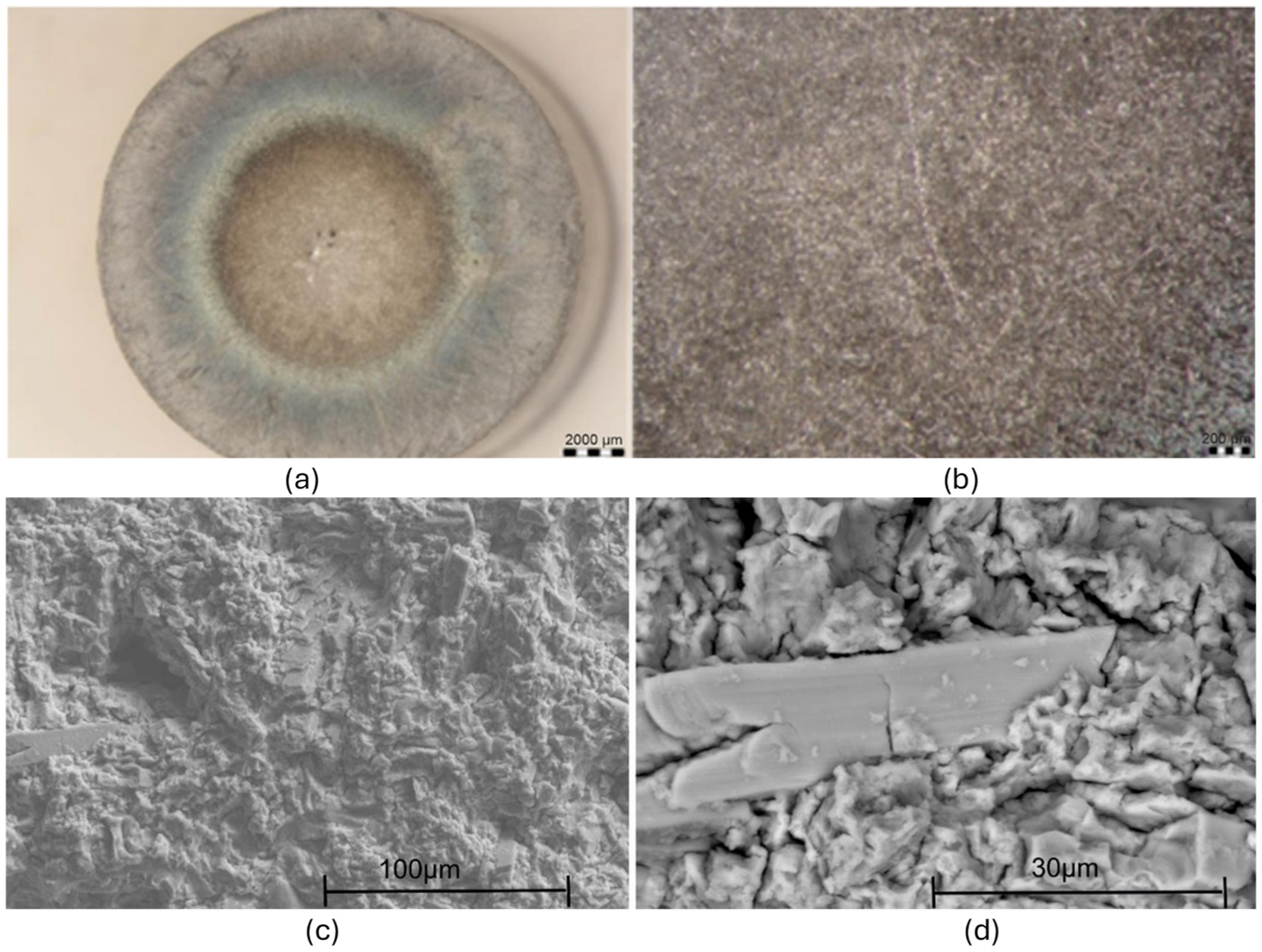 Metals 15 00161 g017