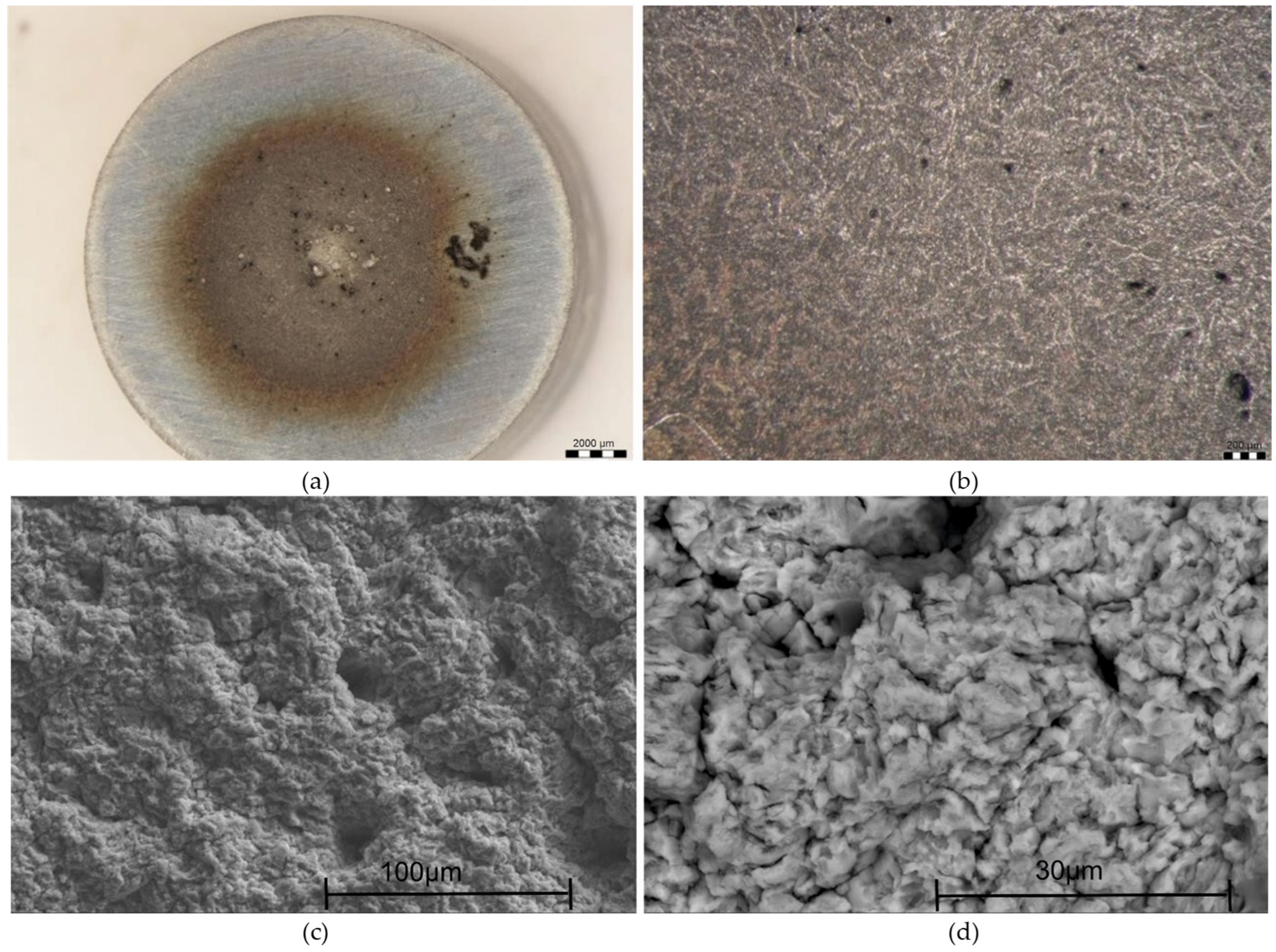 Metals 15 00161 g021