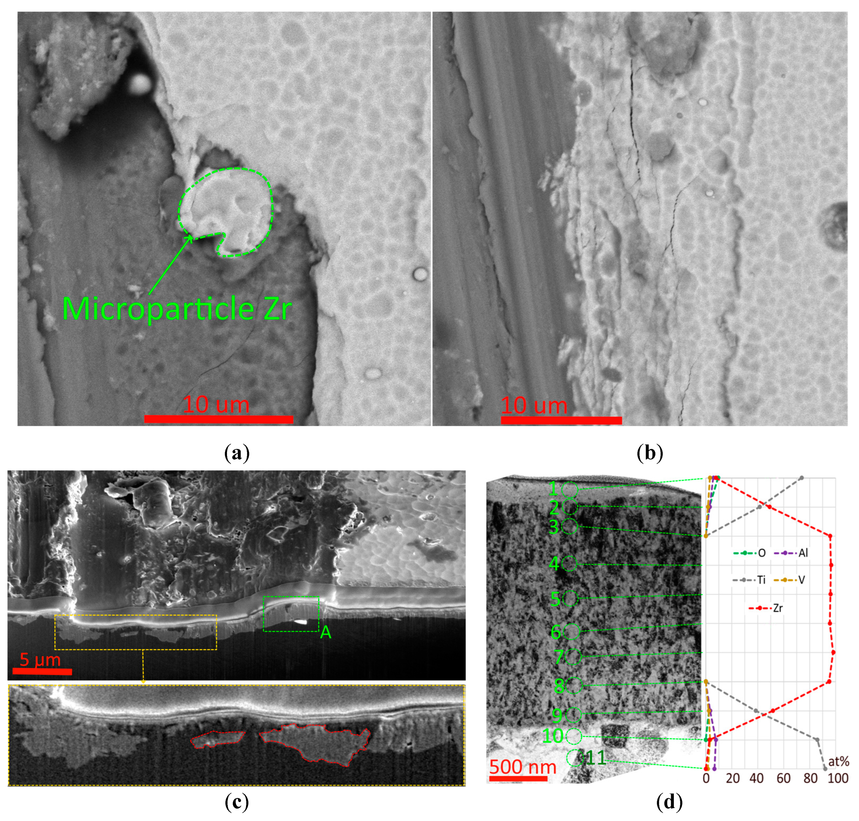 Metals 15 00163 g007