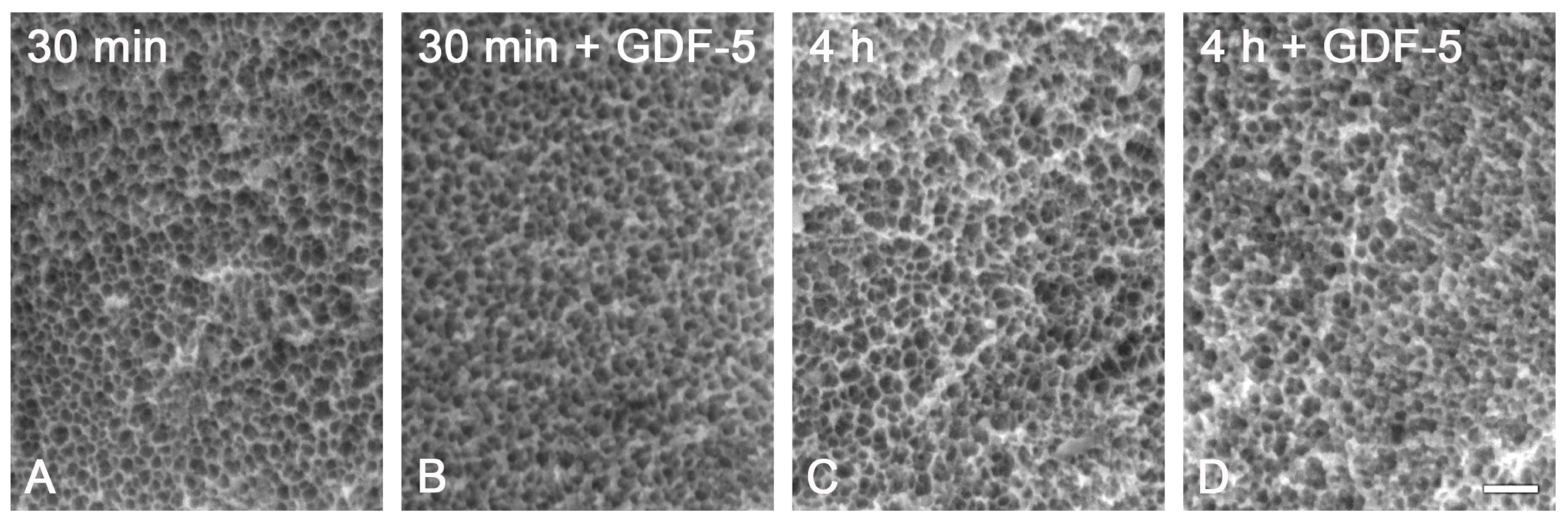 Metals 15 00167 g002