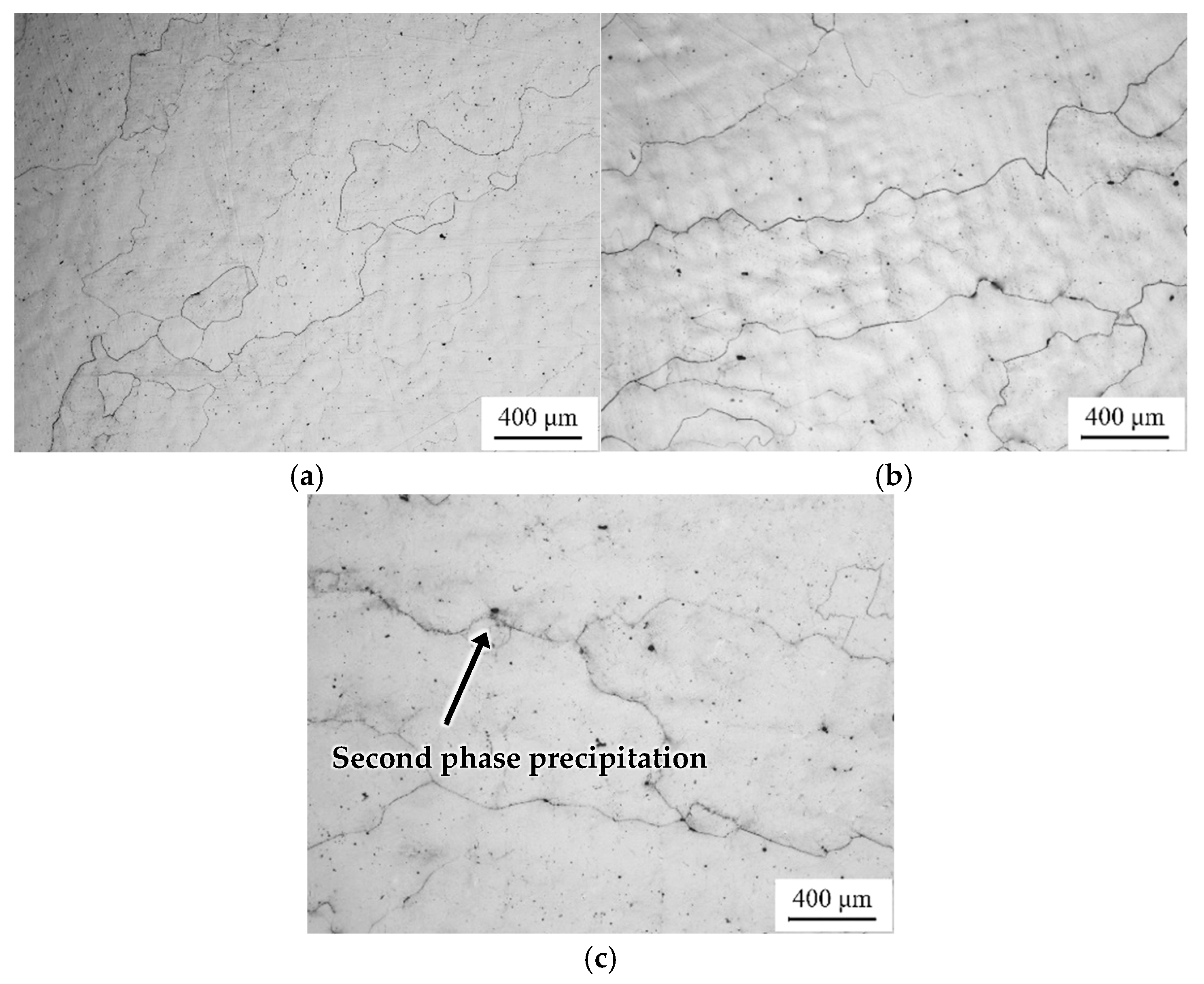 Metals 15 00178 g003