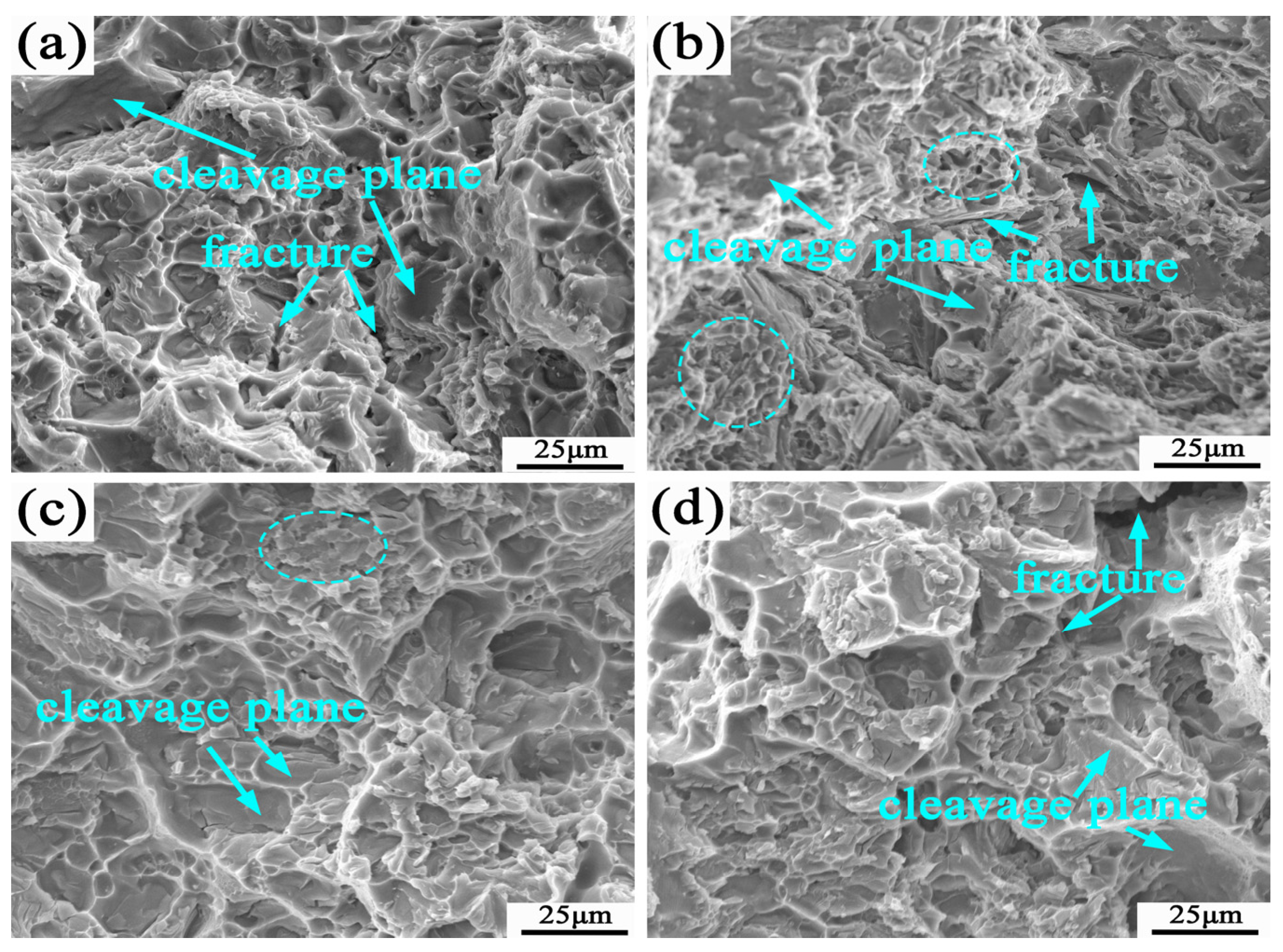 Metals 15 00184 g007