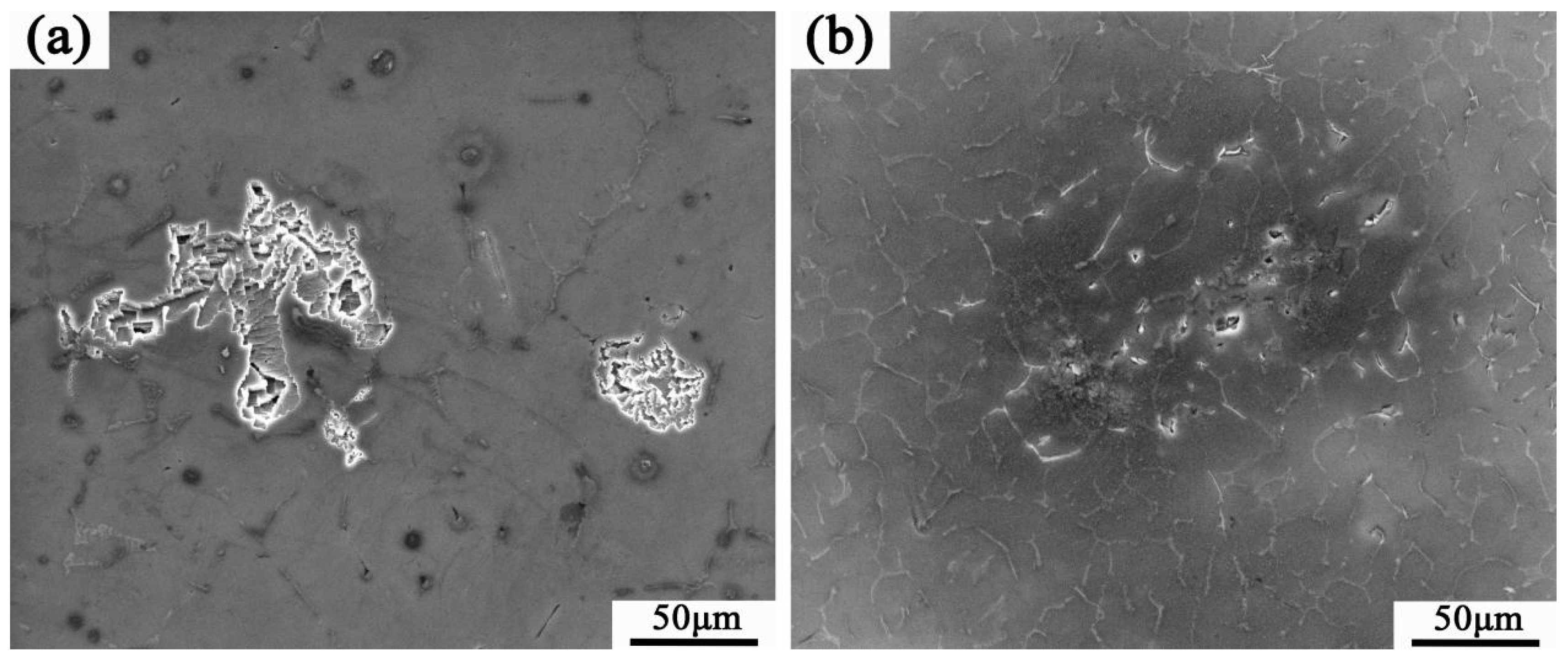 Metals 15 00184 g010