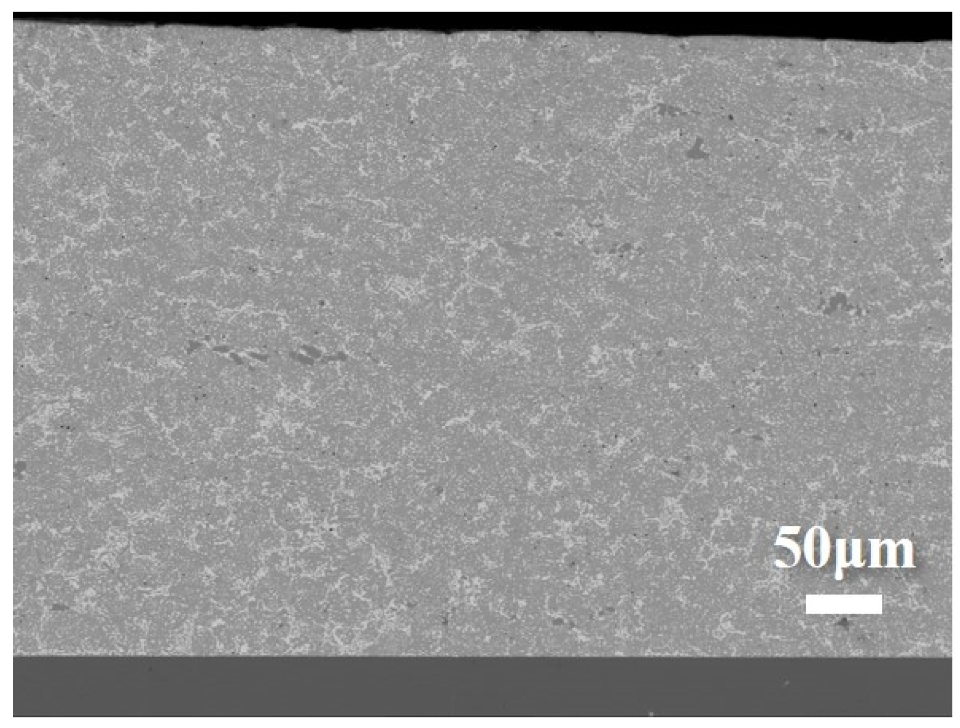 Metals 15 00185 g005