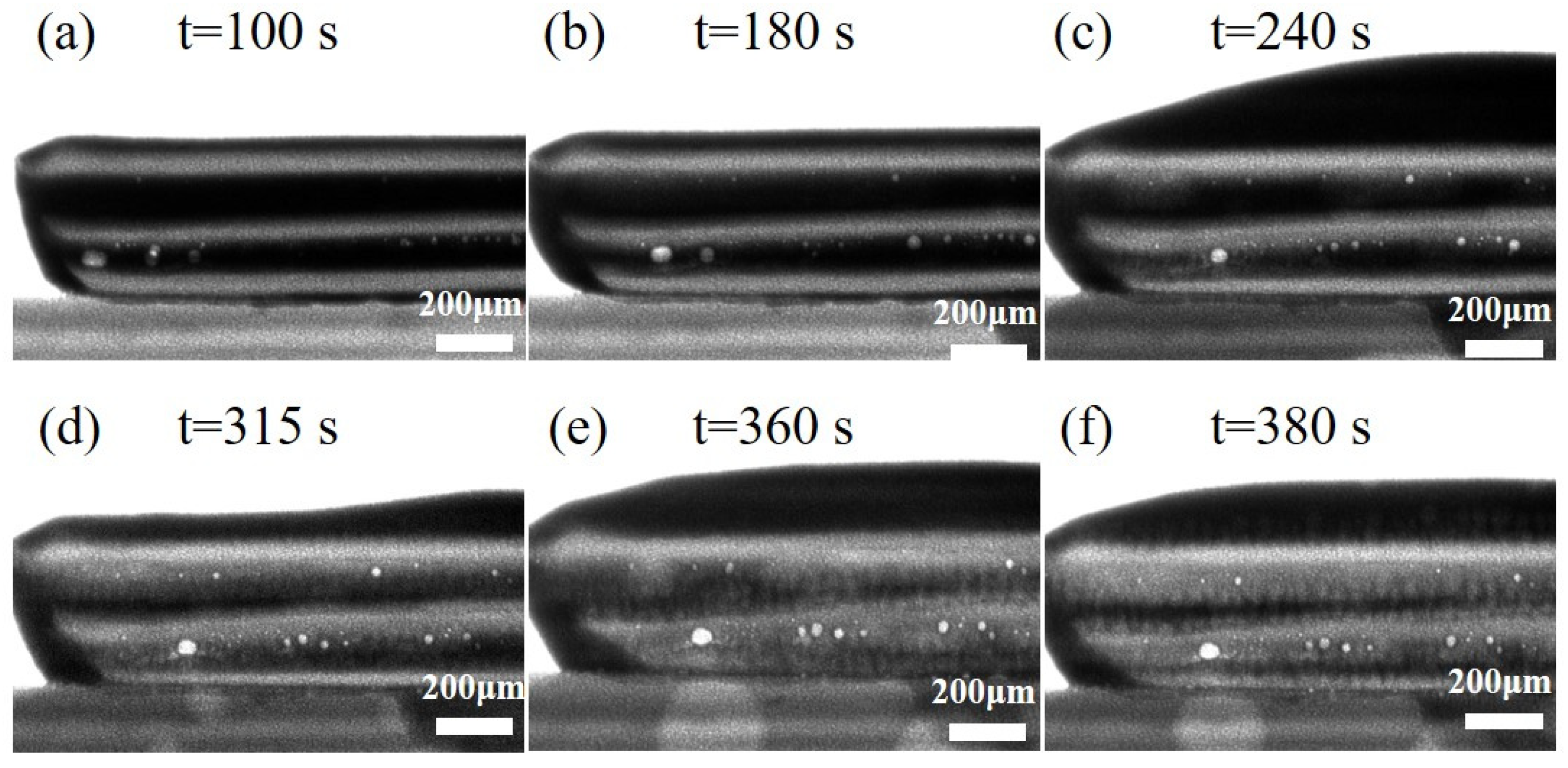 Metals 15 00185 g007