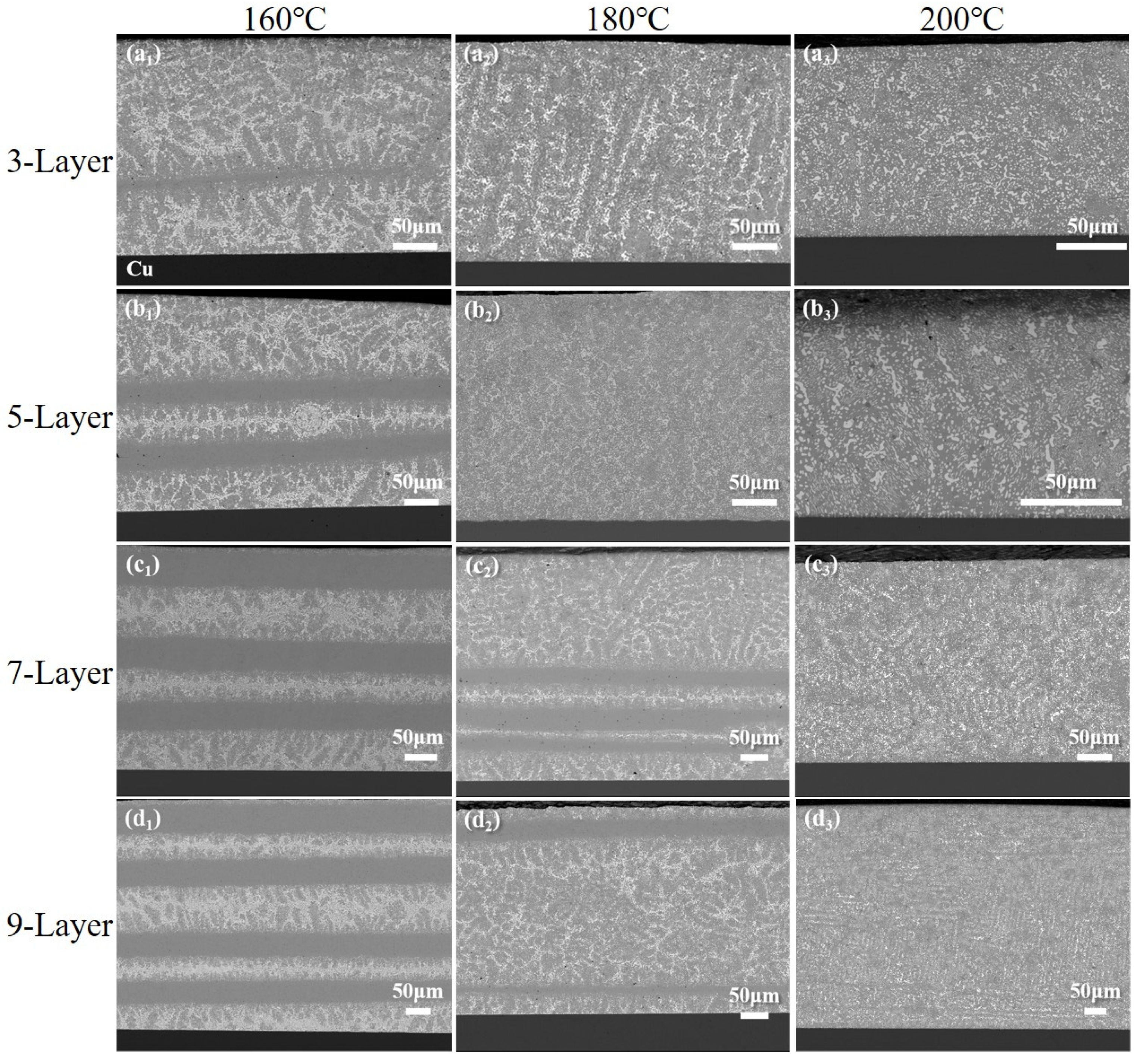 Metals 15 00185 g009