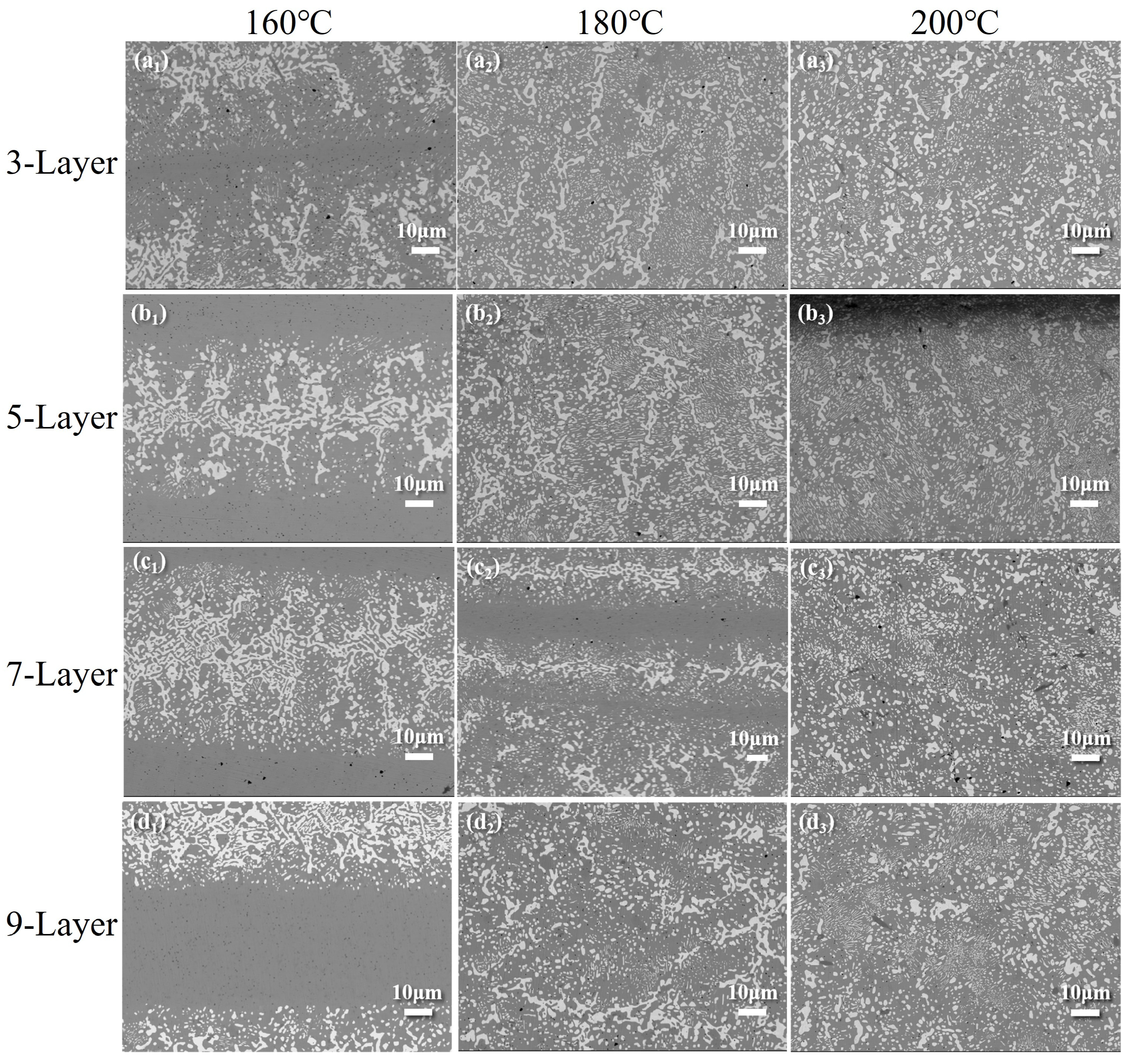 Metals 15 00185 g010