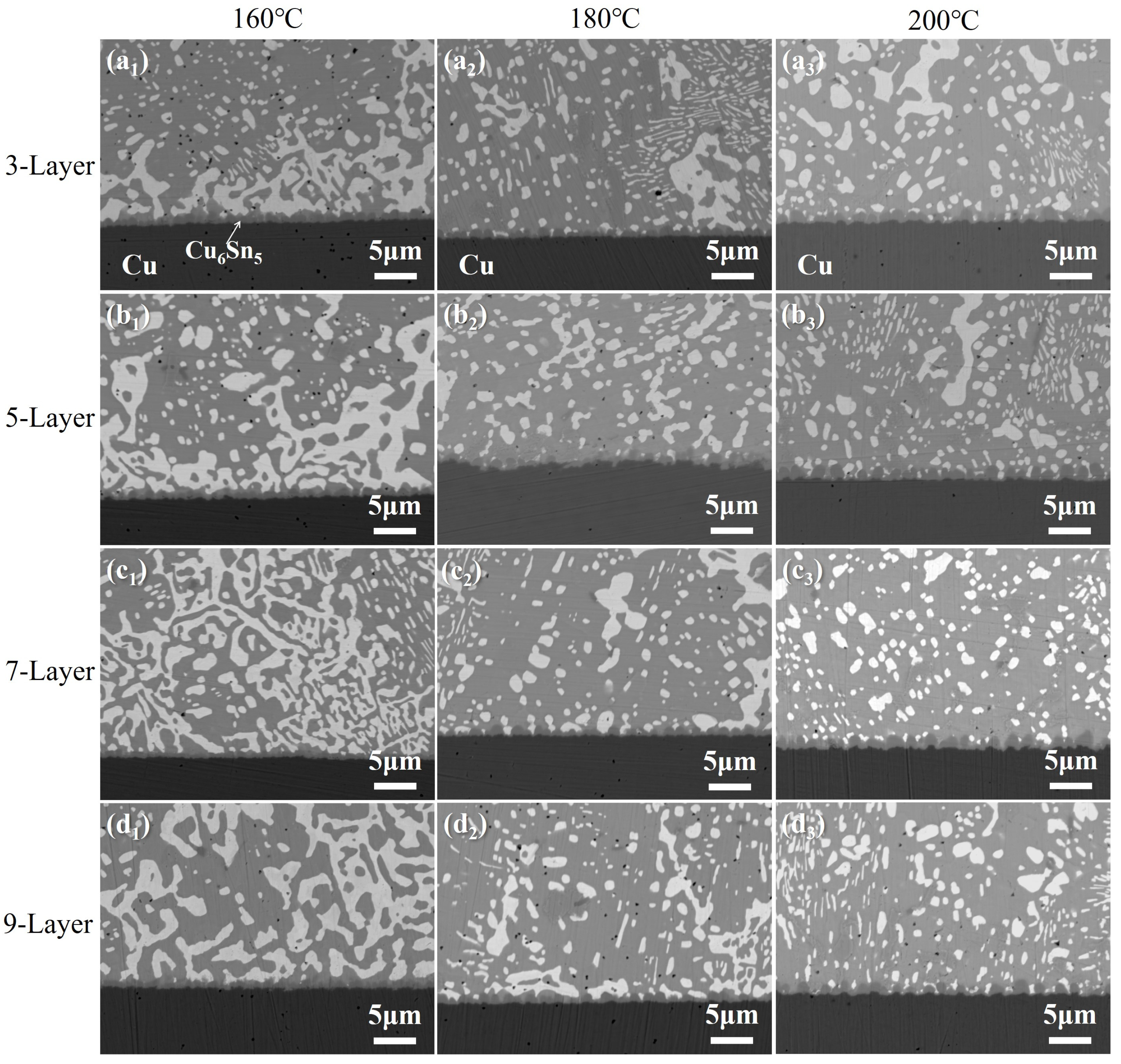 Metals 15 00185 g012