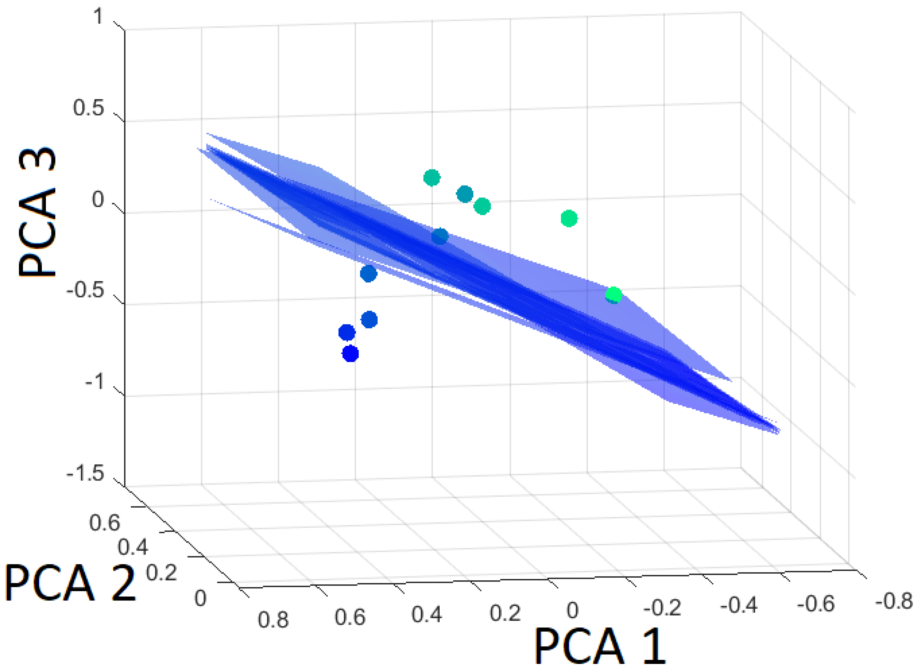 Metals 15 00194 g017