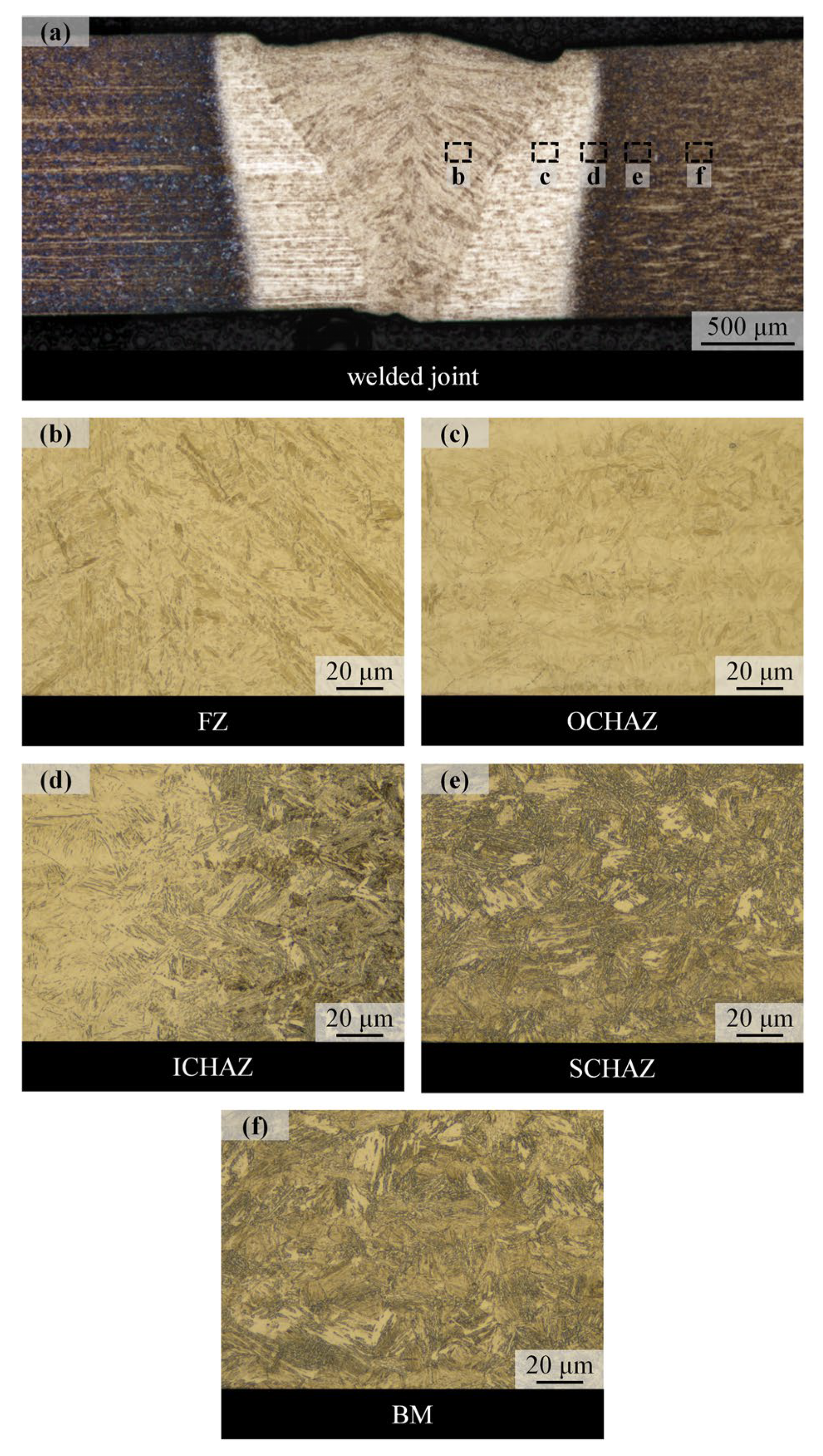 Metals 15 00198 g001