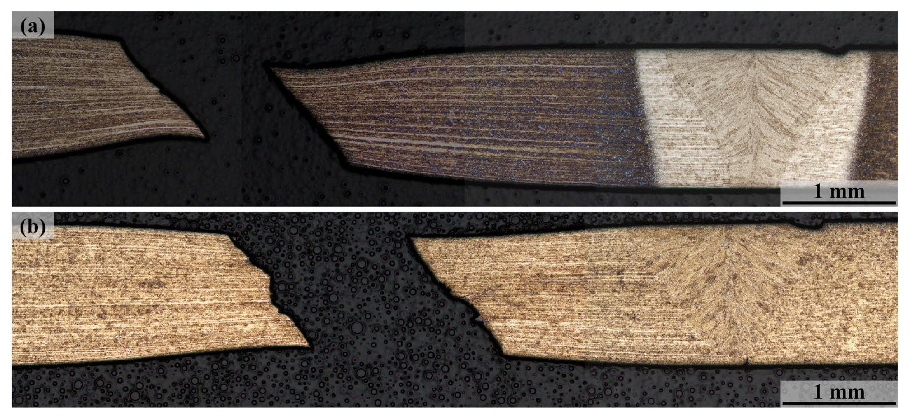 Metals 15 00198 g008