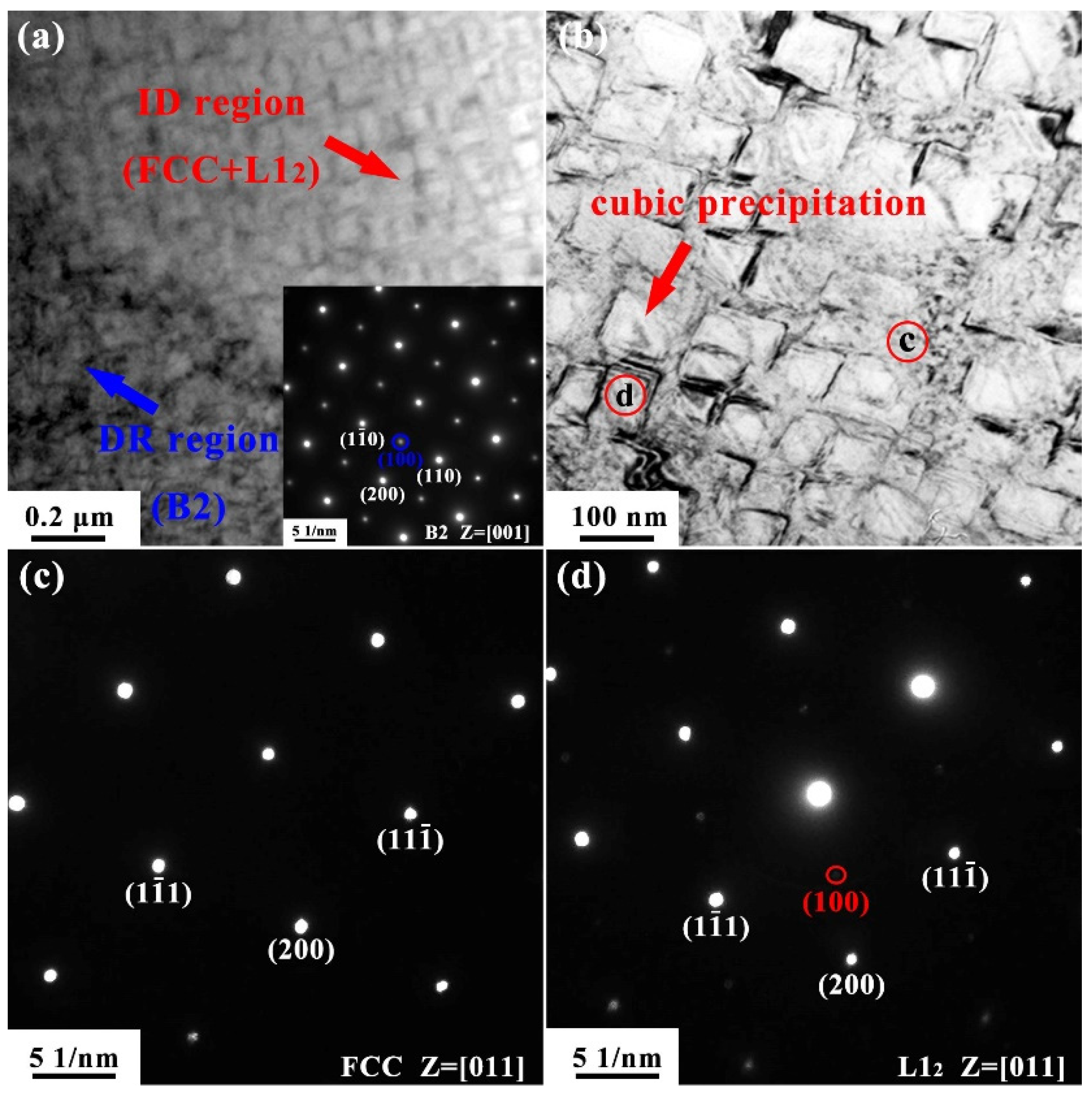 Metals 15 00203 g005