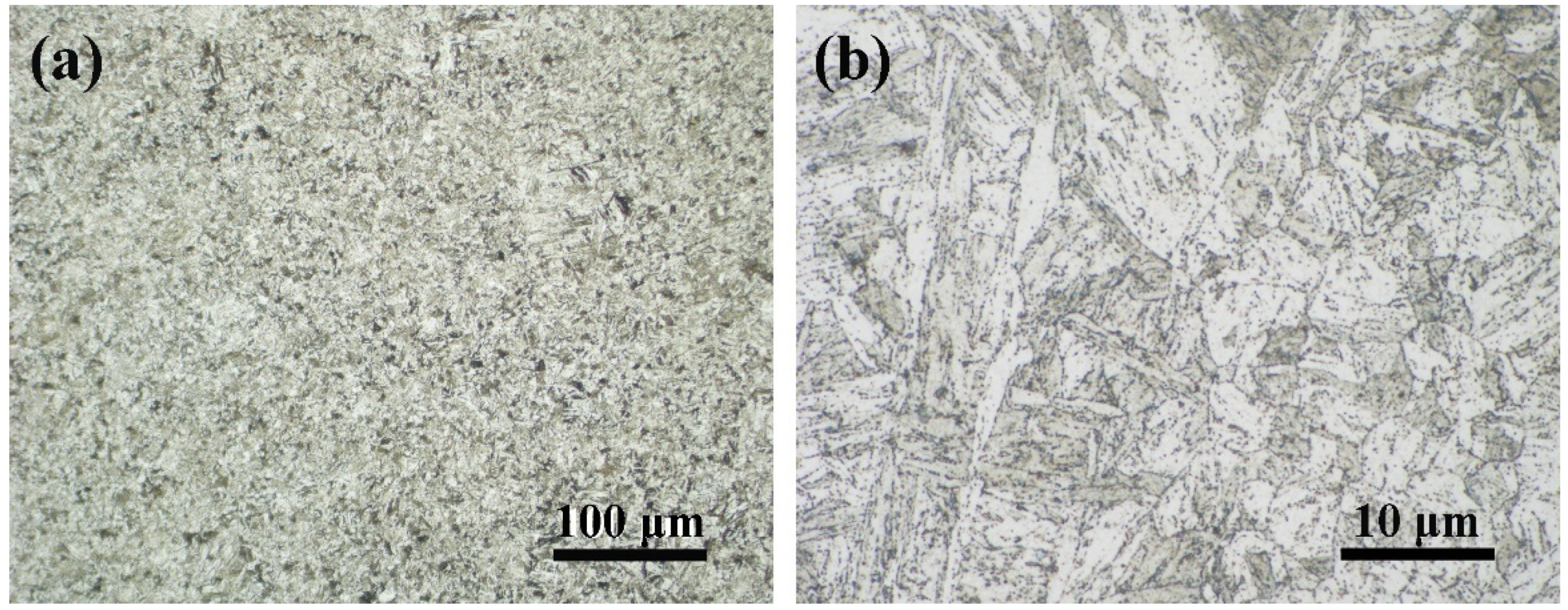 Metals 15 00206 g002