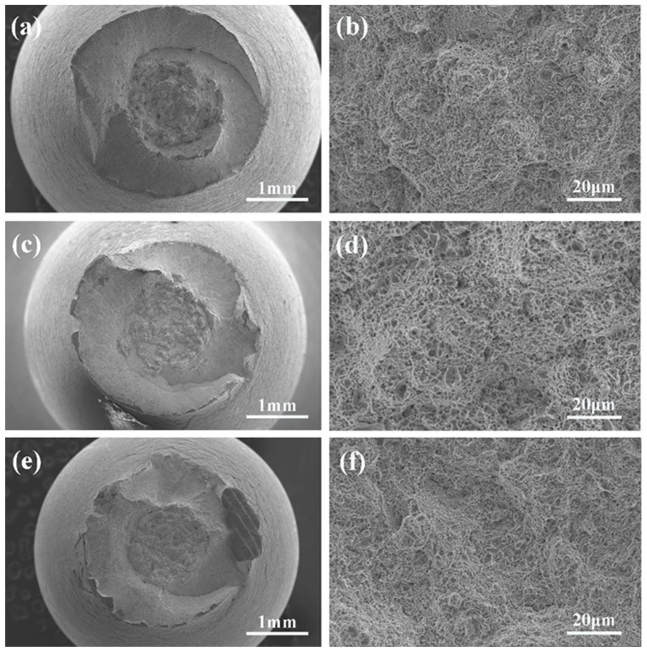 Metals 15 00206 g007