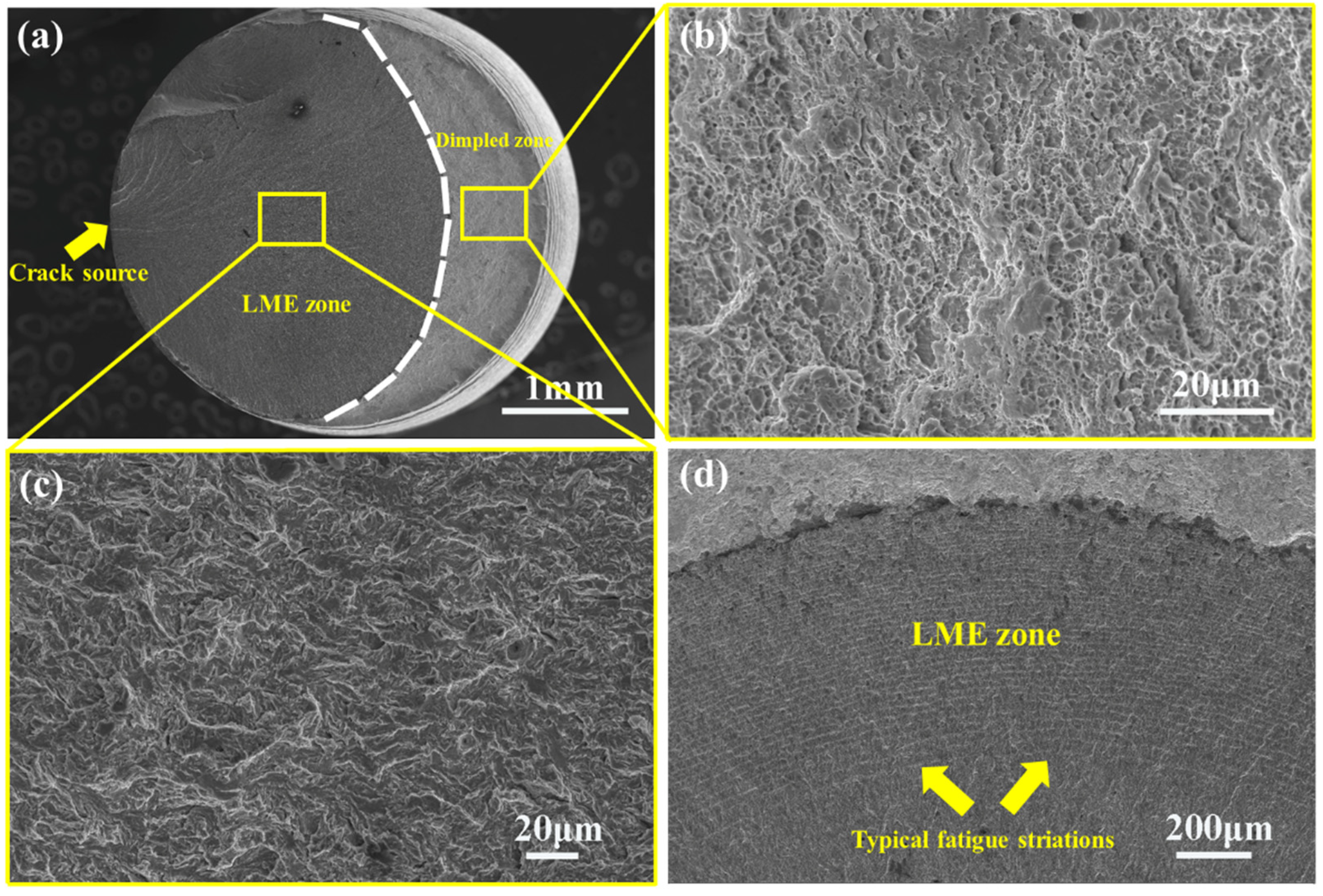 Metals 15 00206 g008