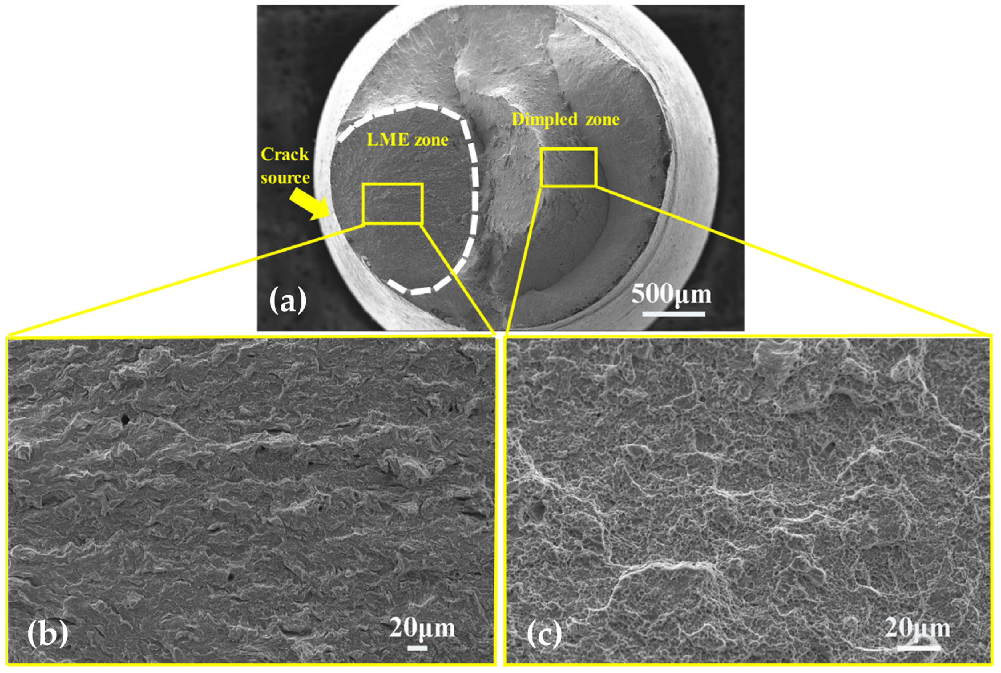 Metals 15 00206 g009