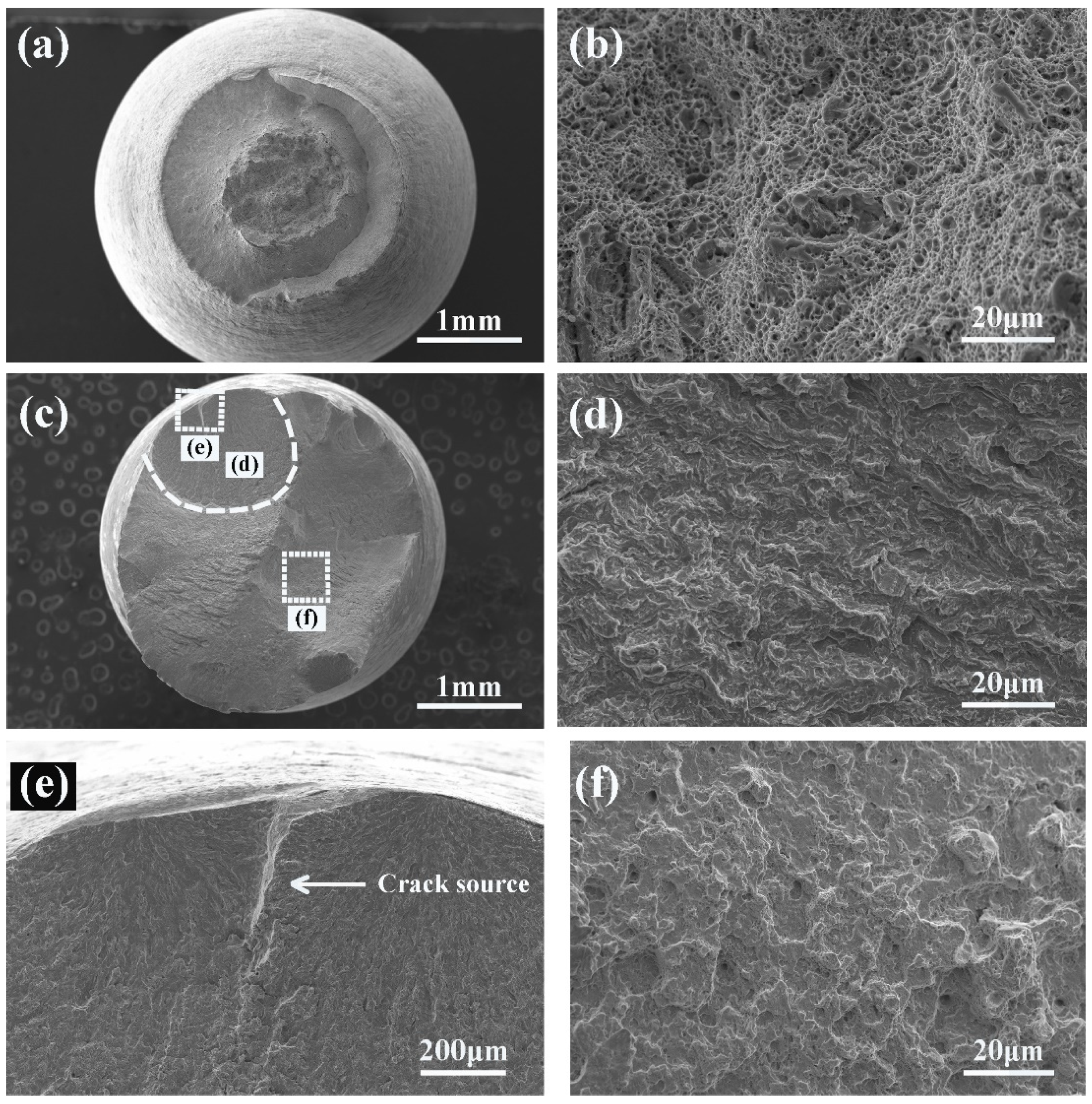 Metals 15 00206 g011