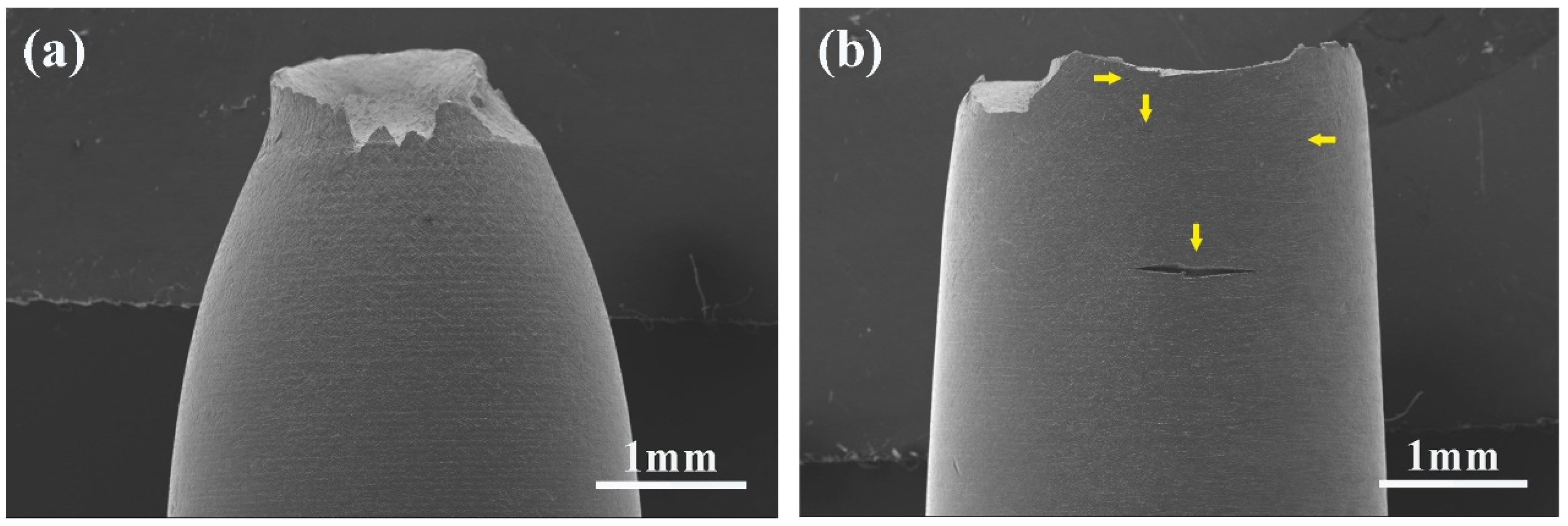 Metals 15 00206 g012