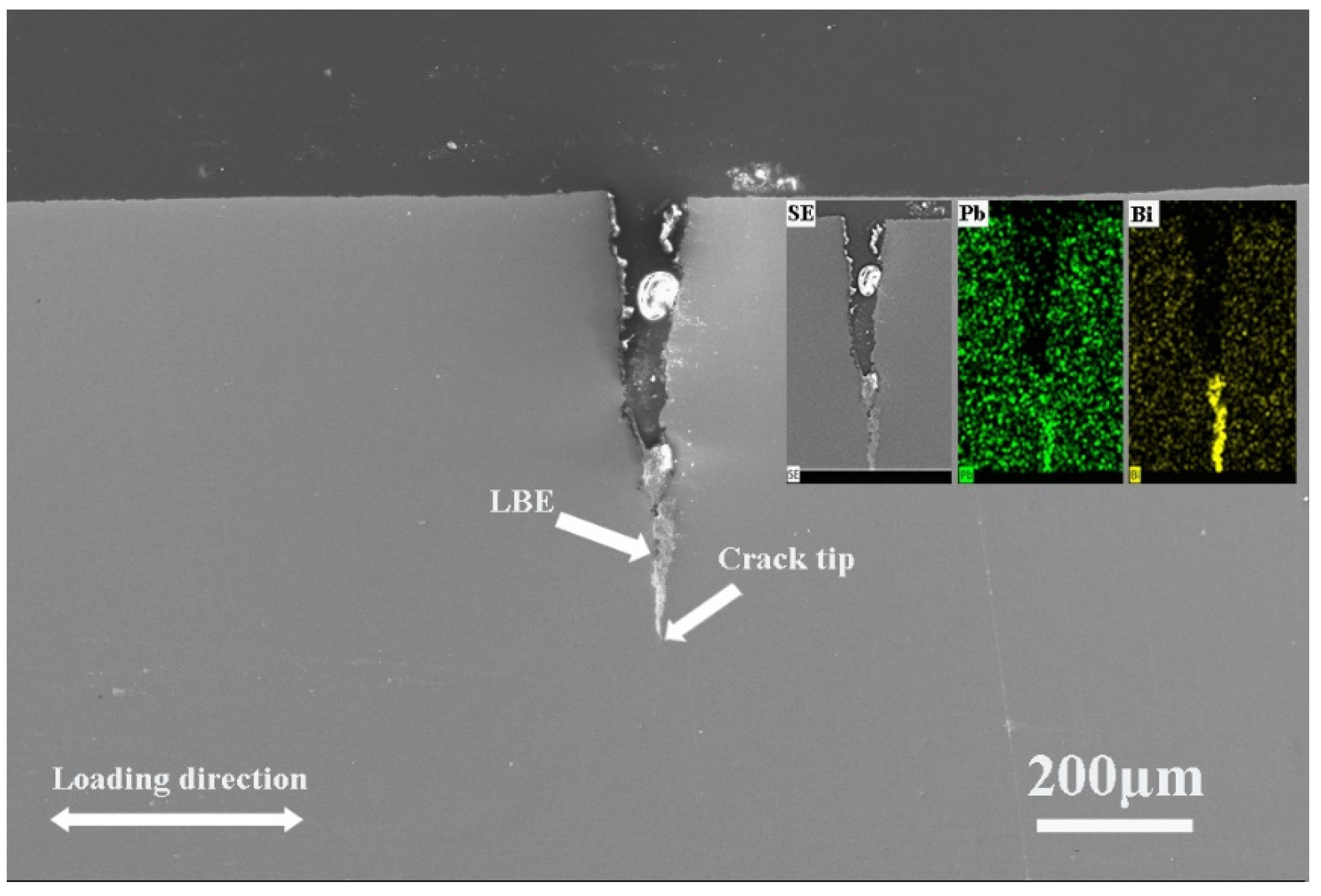 Metals 15 00206 g013