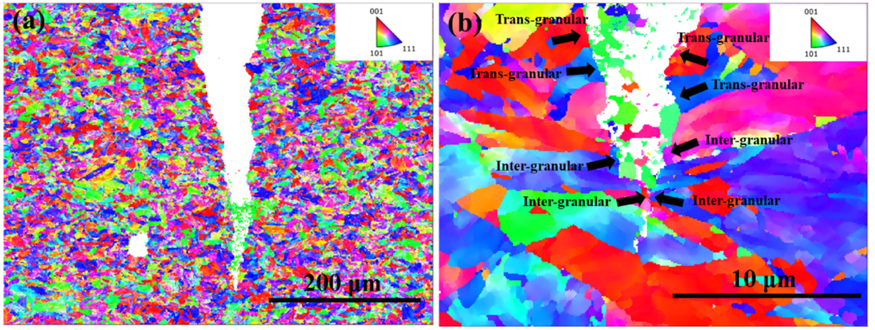 Metals 15 00206 g014