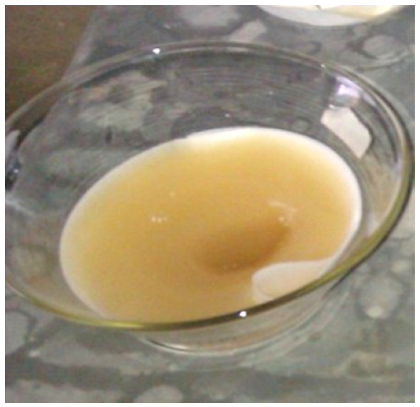 Metals 15 00208 g011