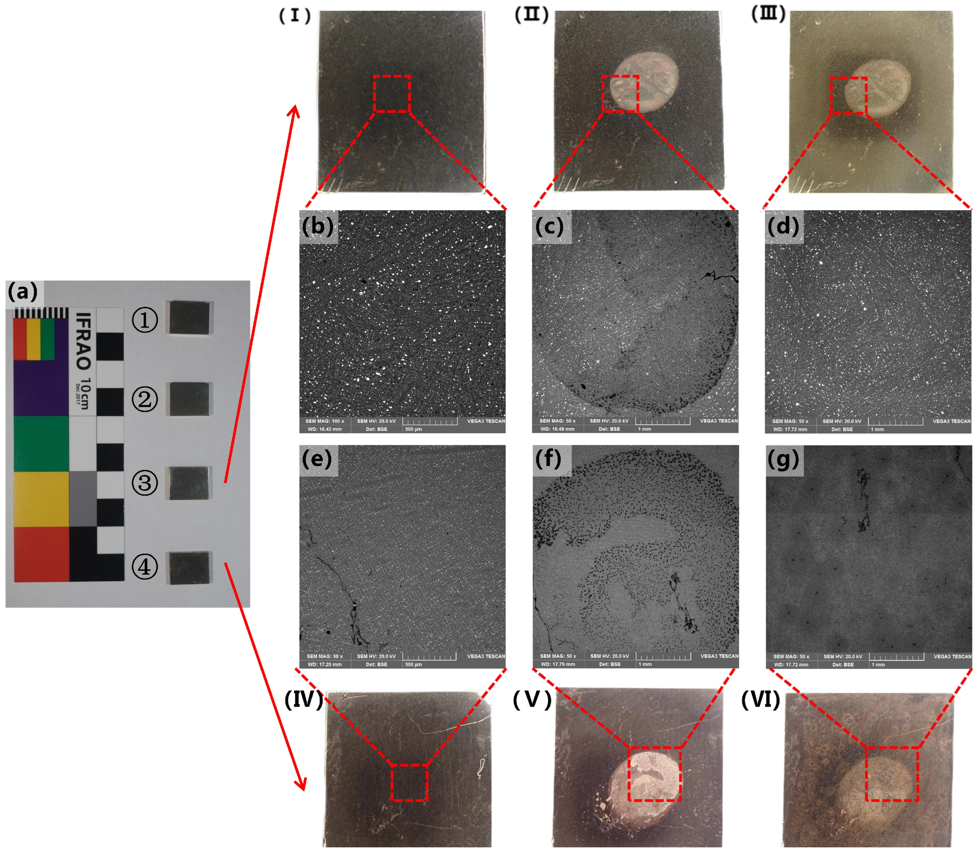 Metals 15 00209 g007