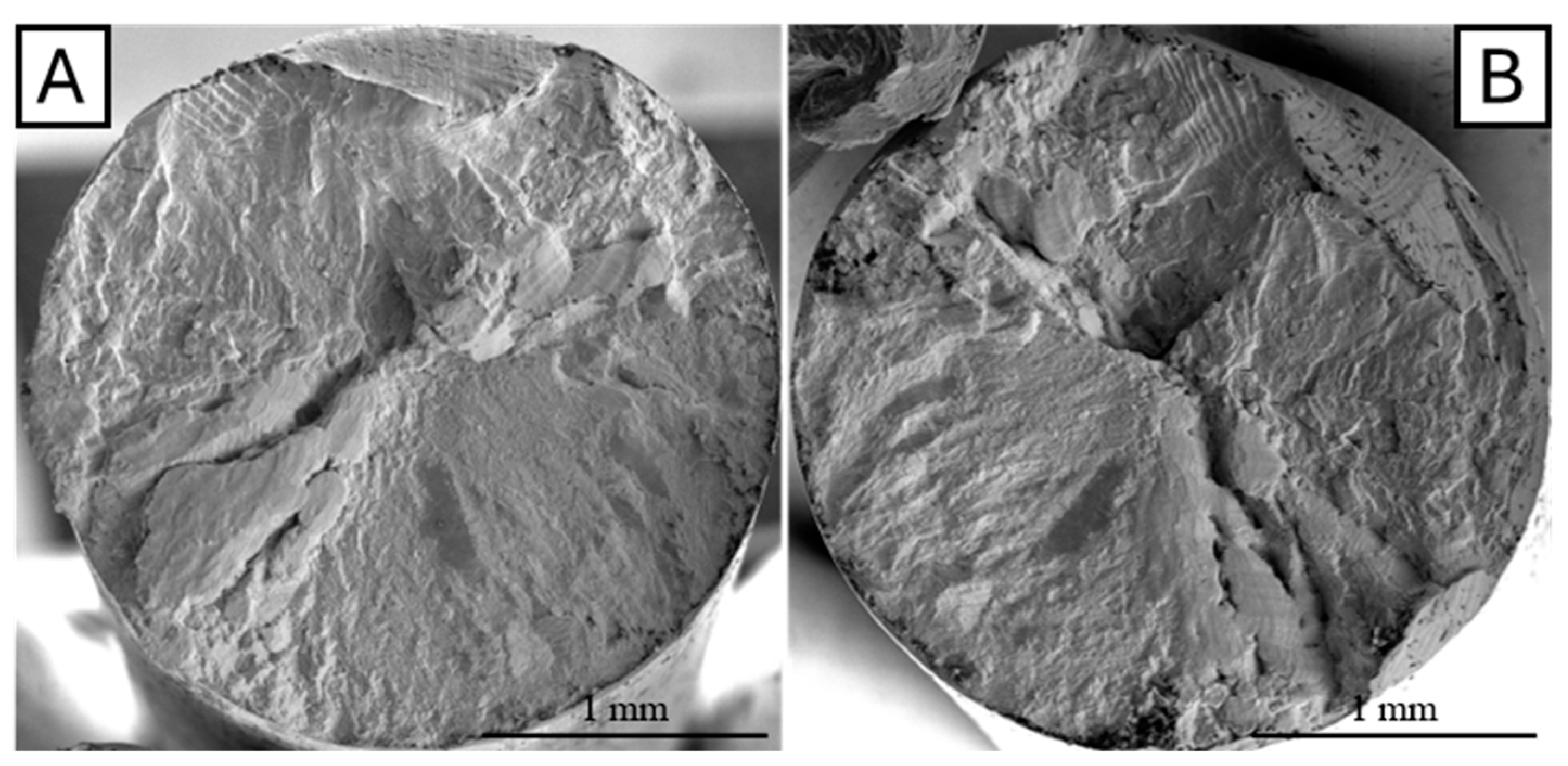 Metals 15 00216 g006