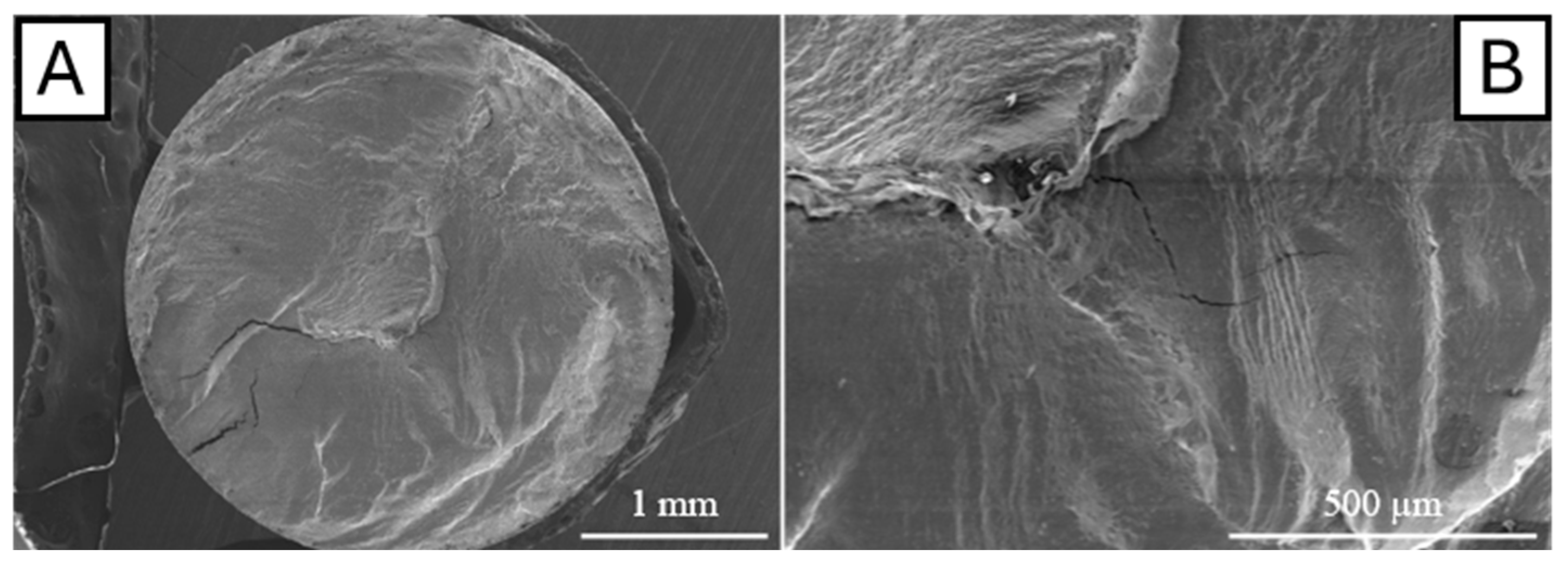 Metals 15 00216 g008