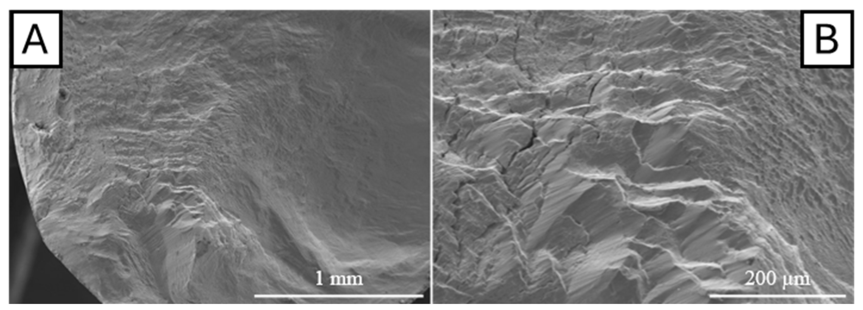 Metals 15 00216 g009