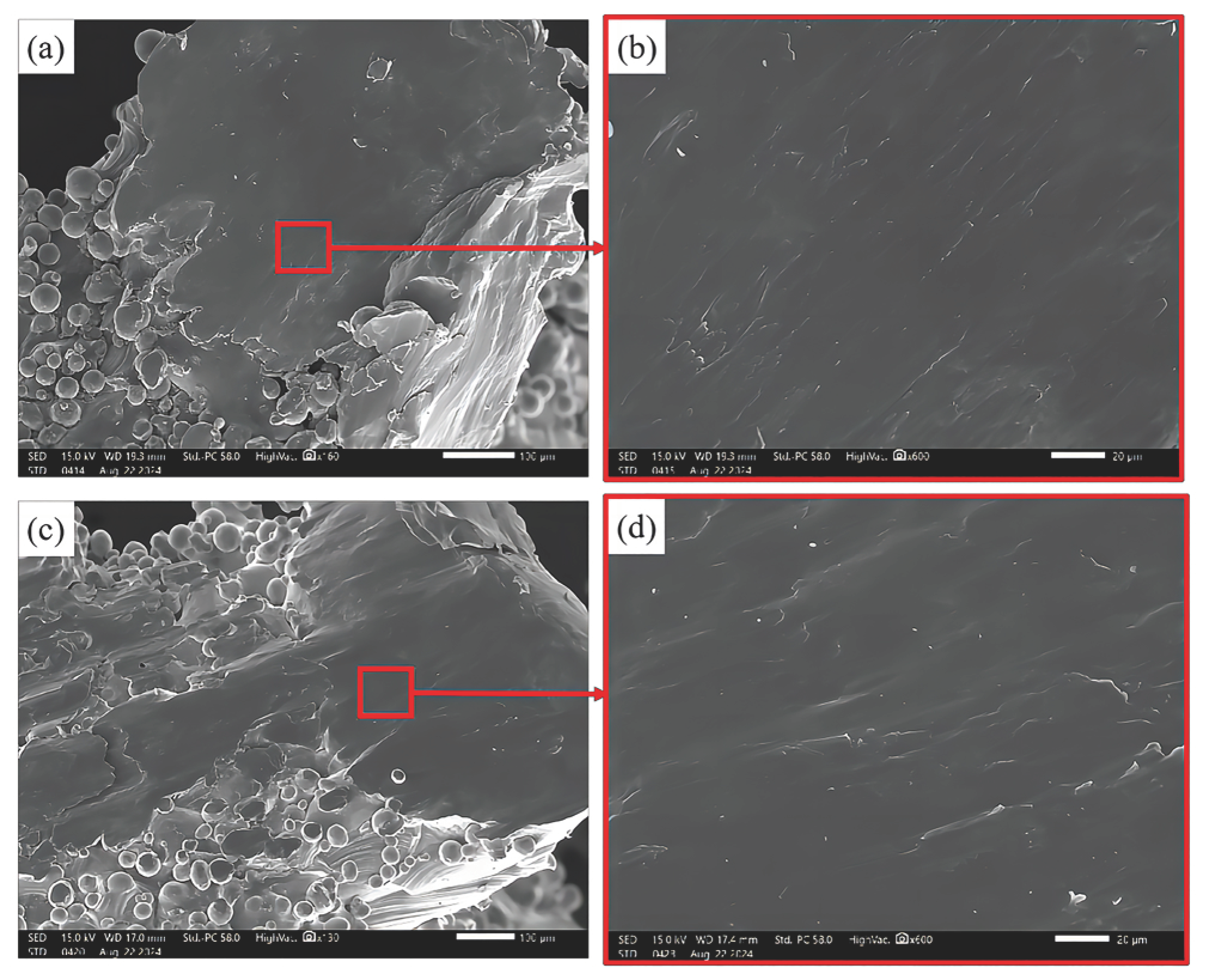 Metals 15 00230 g009