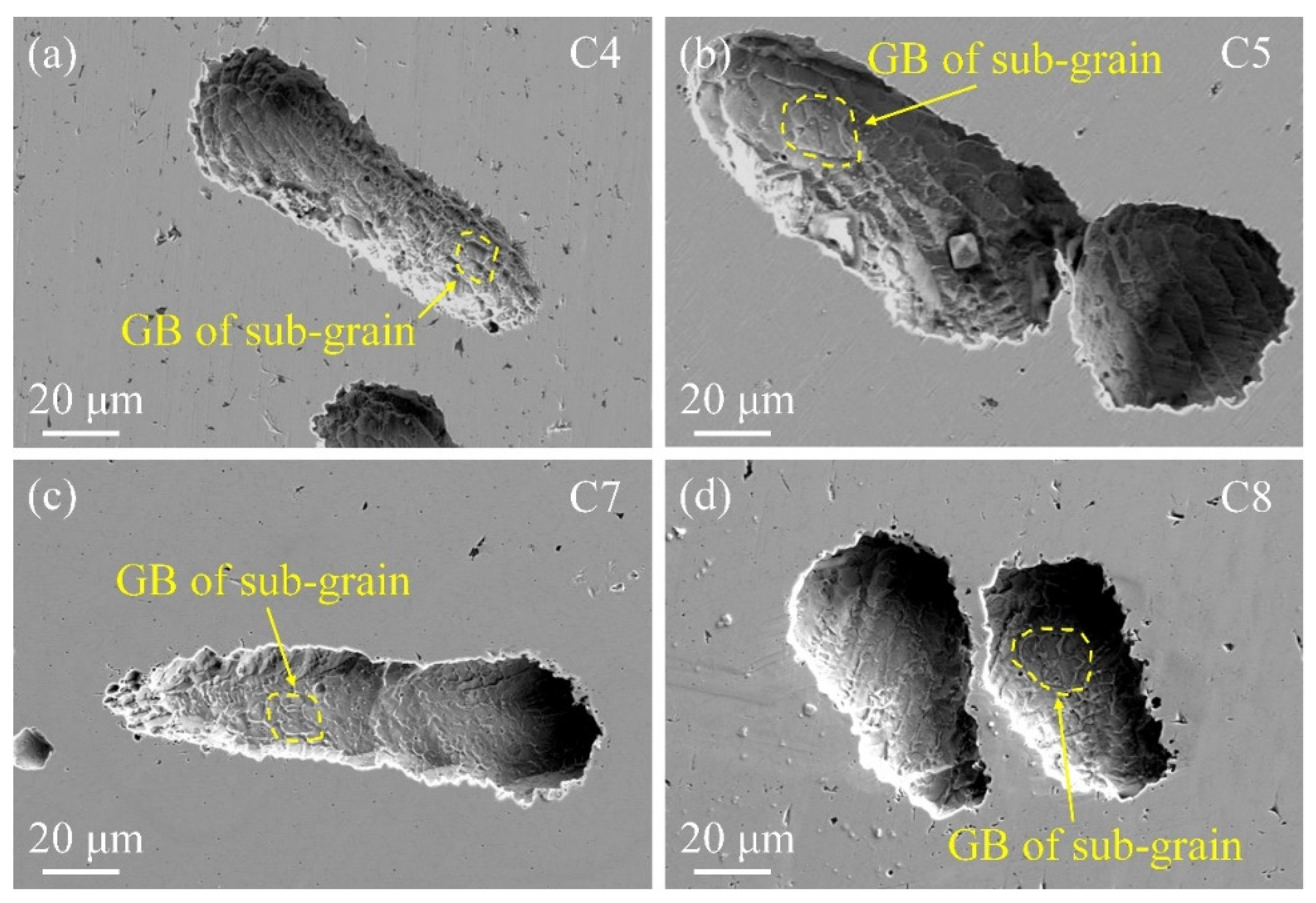 Metals 15 00231 g014