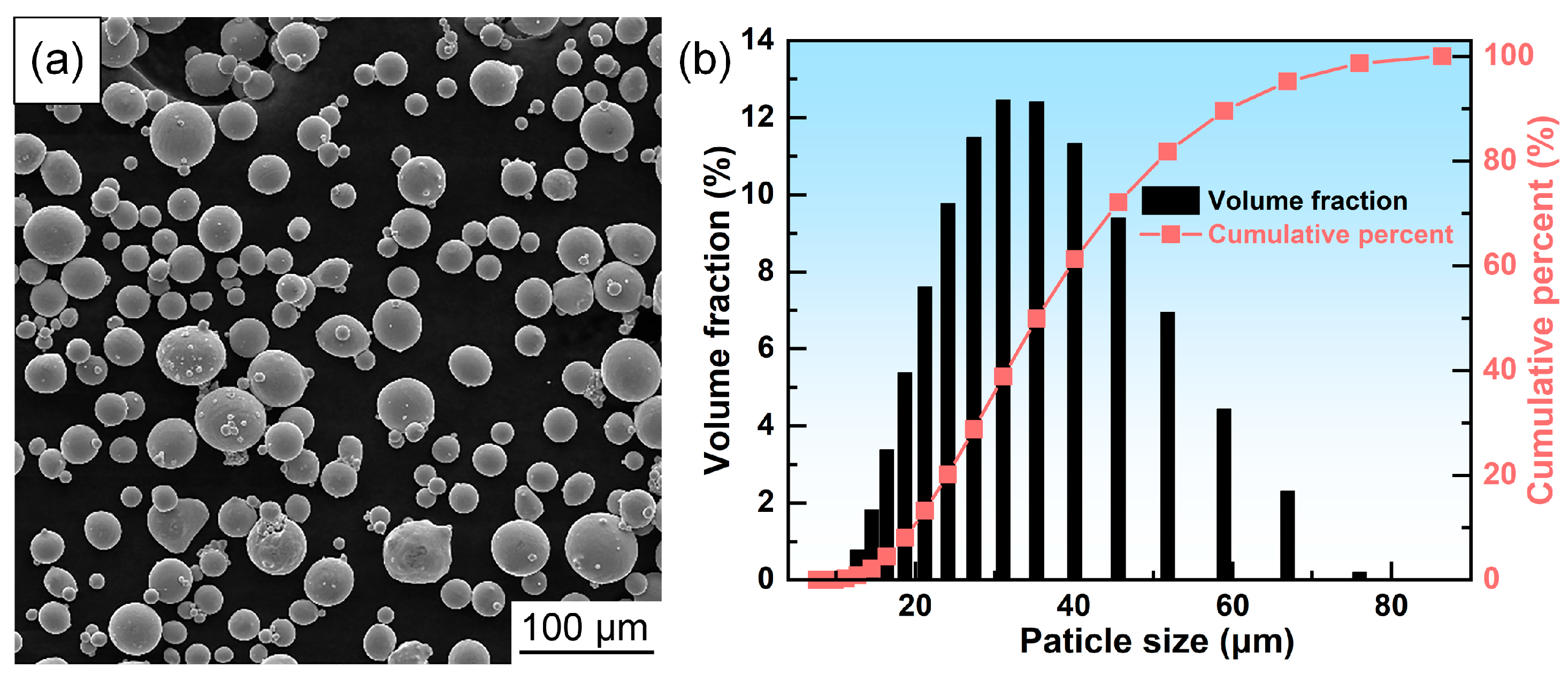 Metals 15 00233 g001