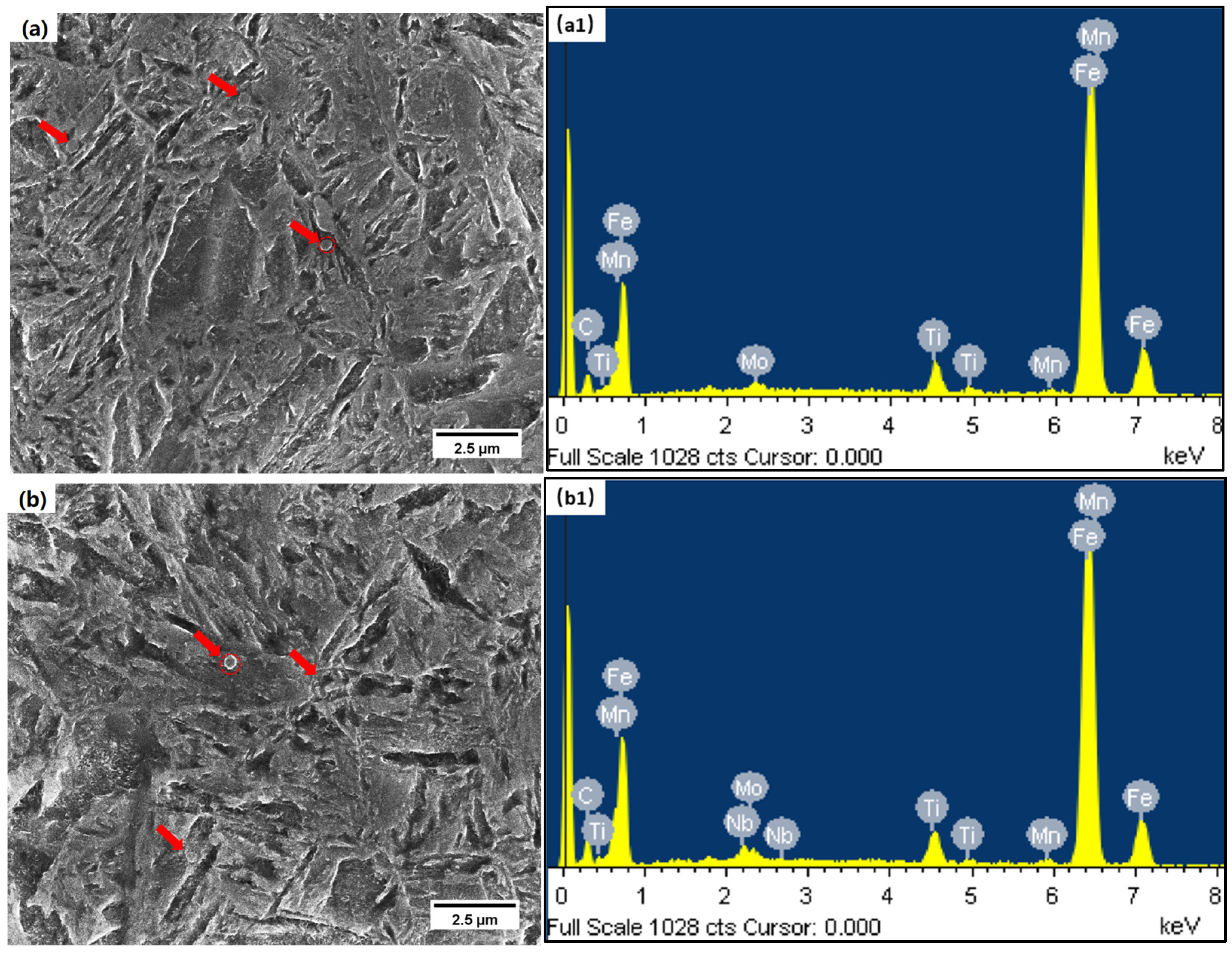 Metals 15 00235 g007