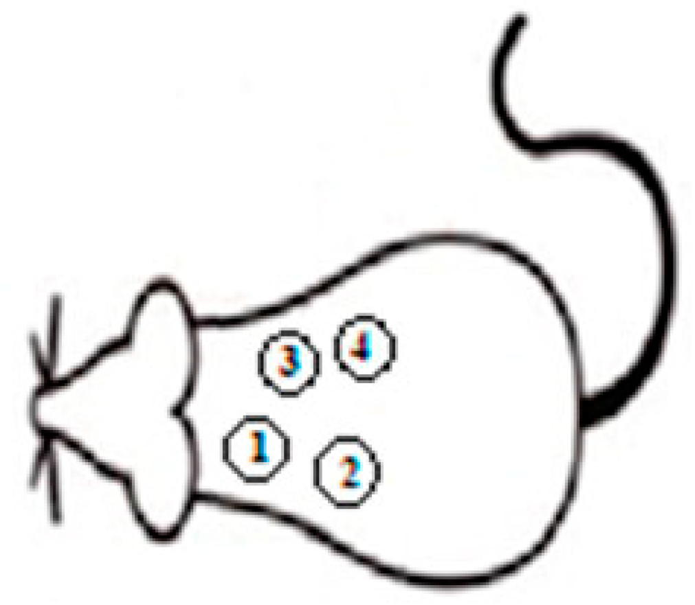 Metals 15 00240 g001