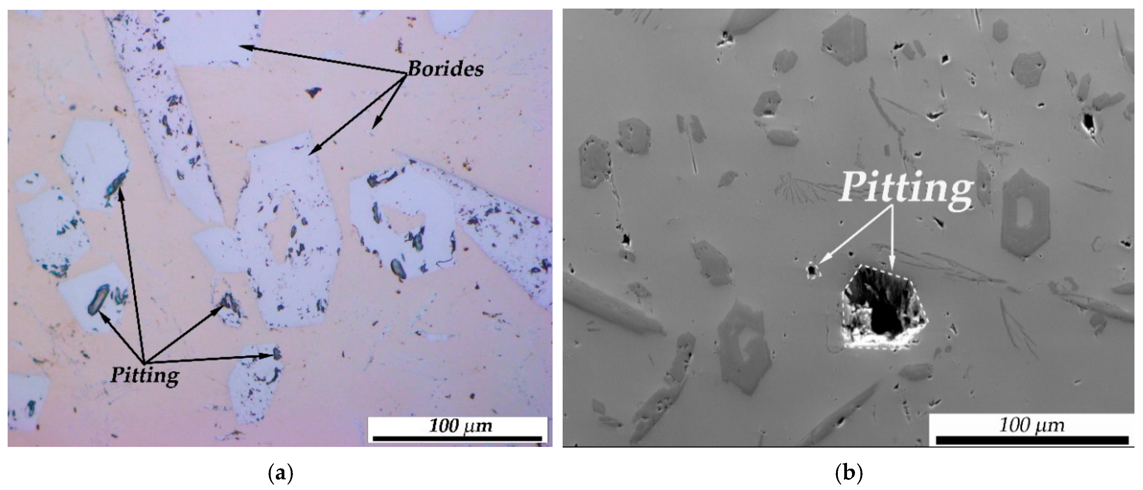 Metals 15 00240 g007