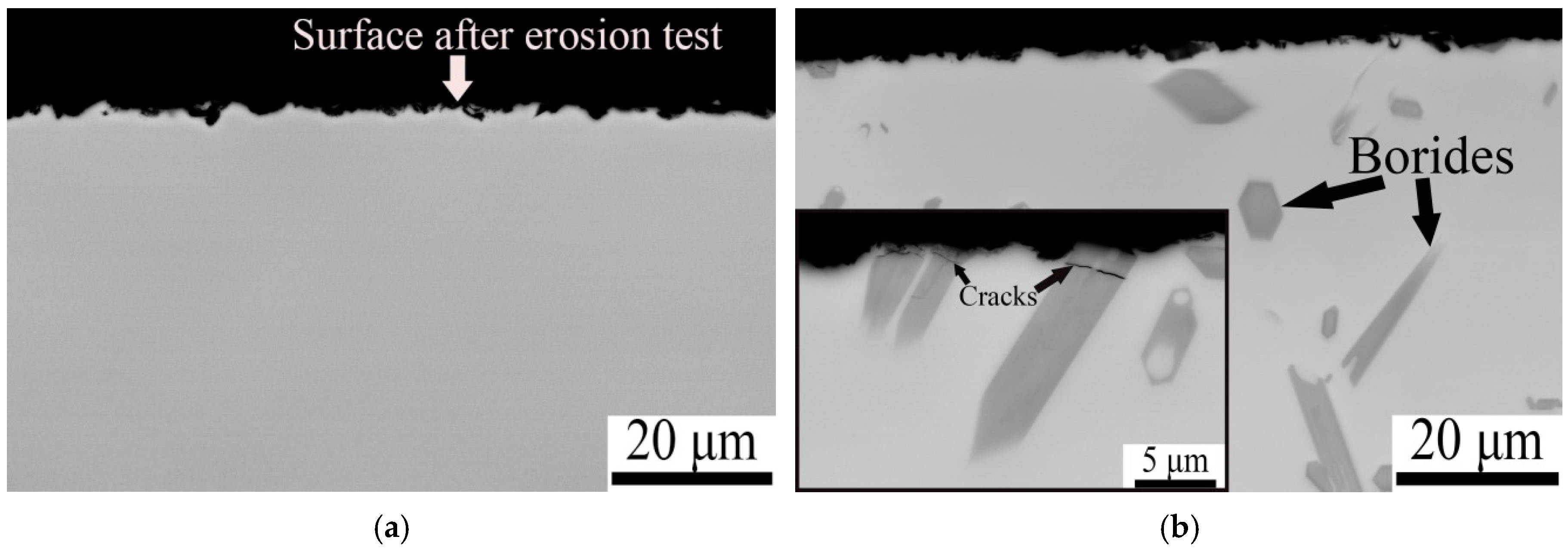 Metals 15 00240 g010
