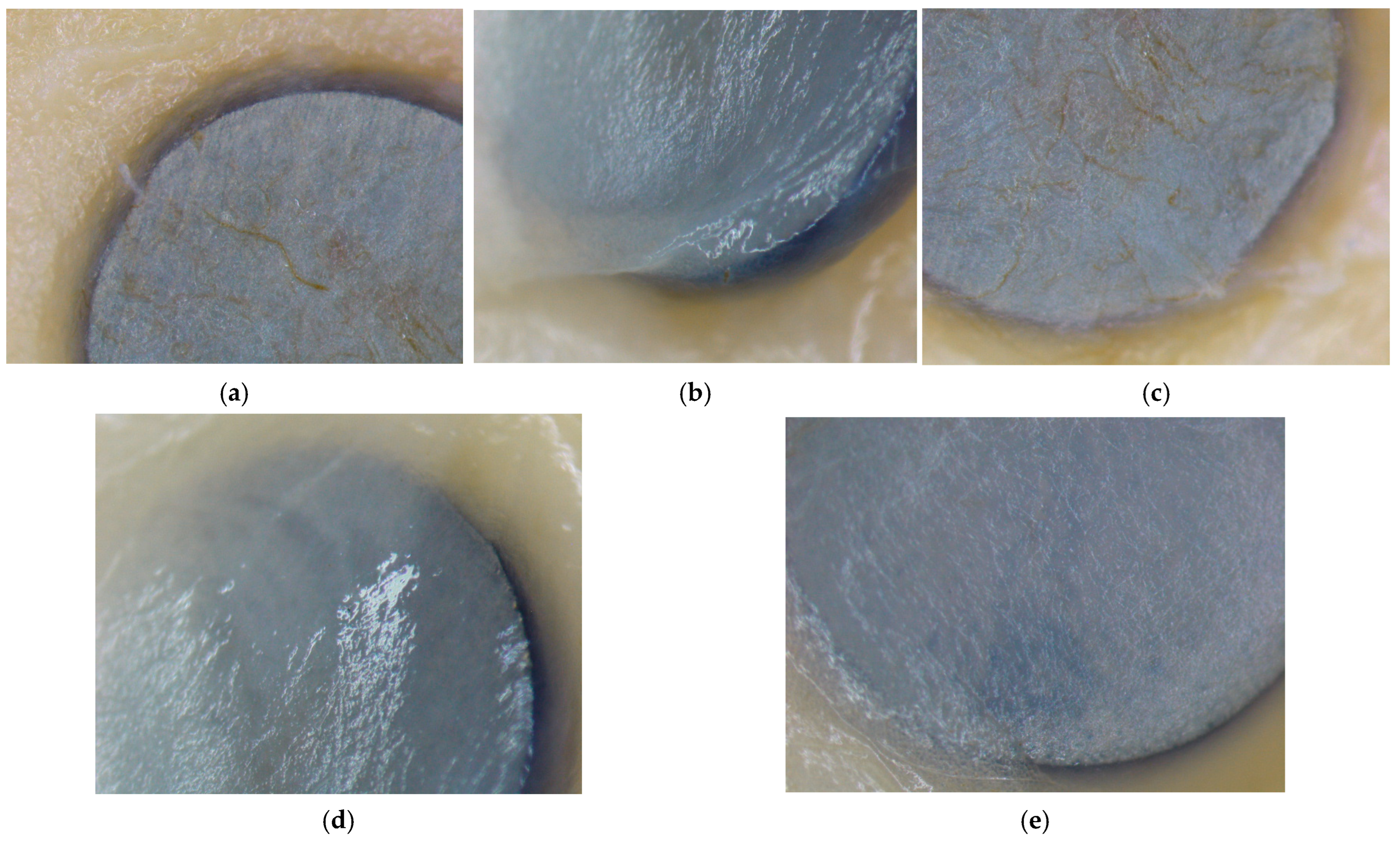 Metals 15 00240 g012