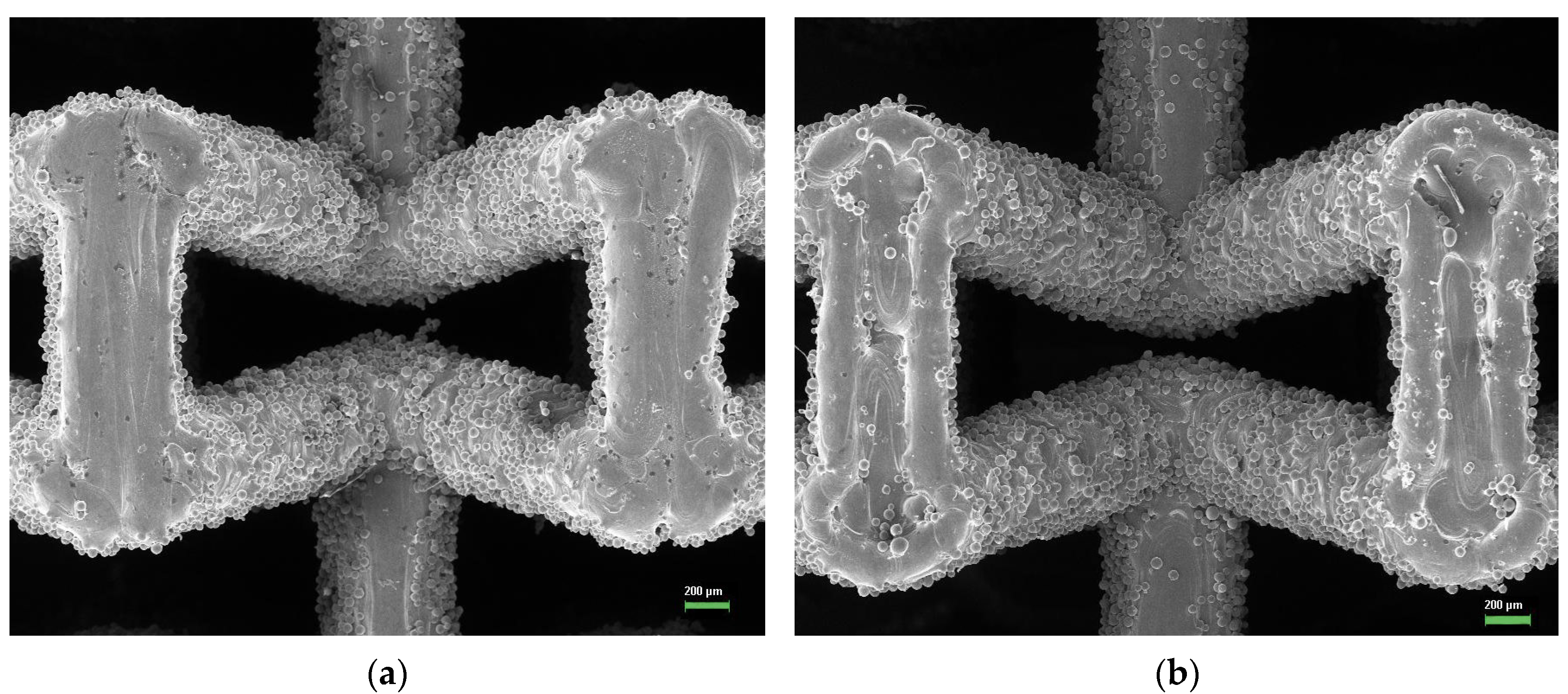 Metals 15 00241 g007