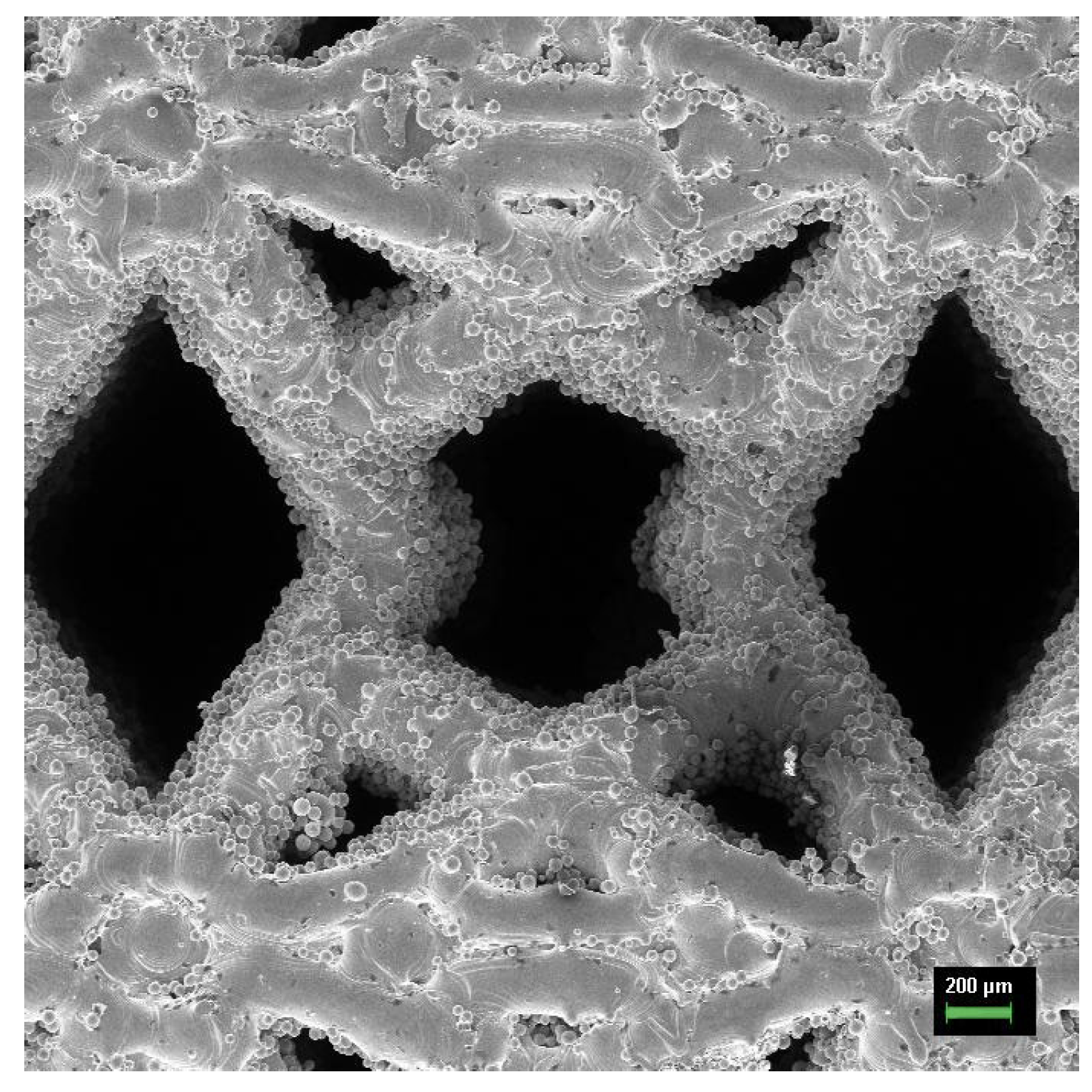 Metals 15 00241 g008