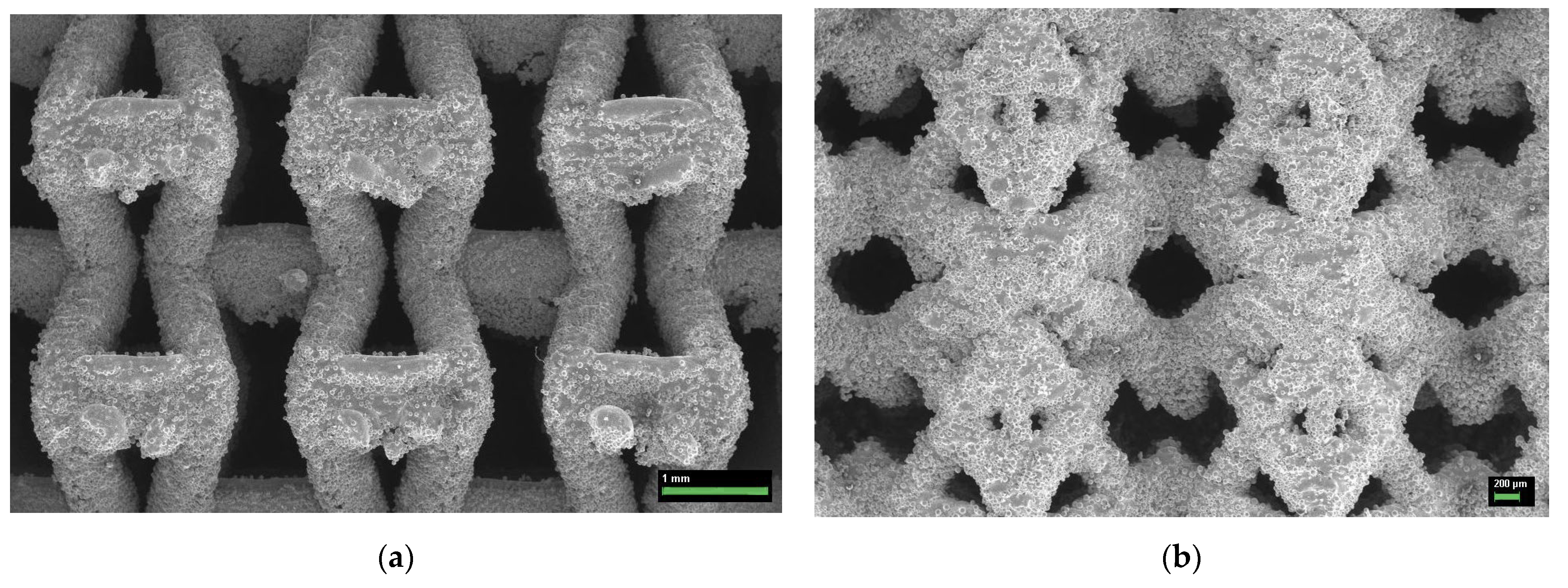 Metals 15 00241 g017