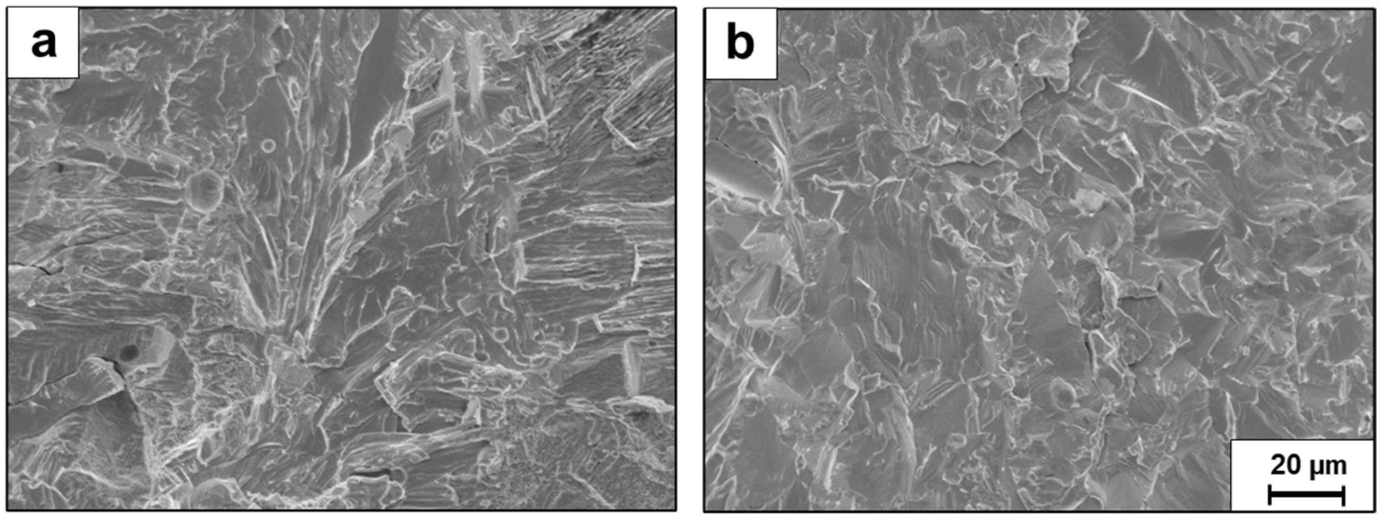 Metals 15 00243 g011