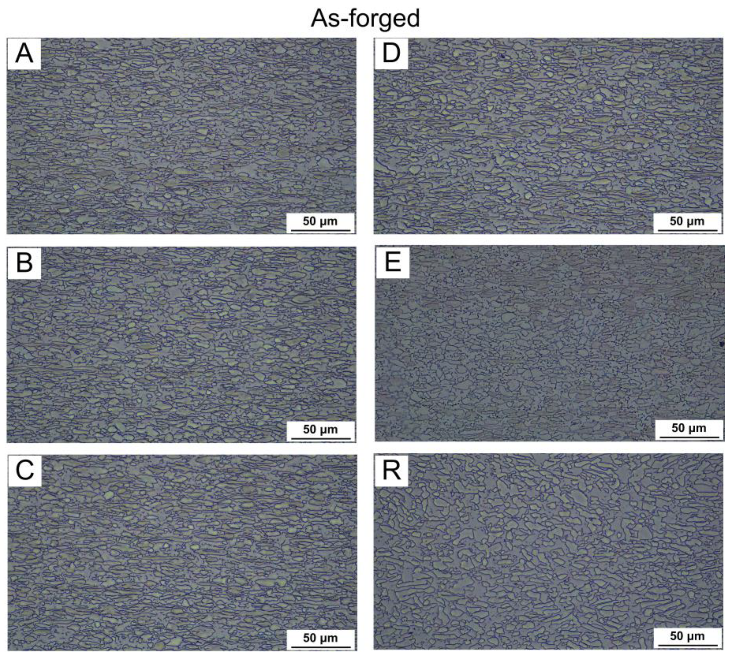 Metals 15 00244 g004