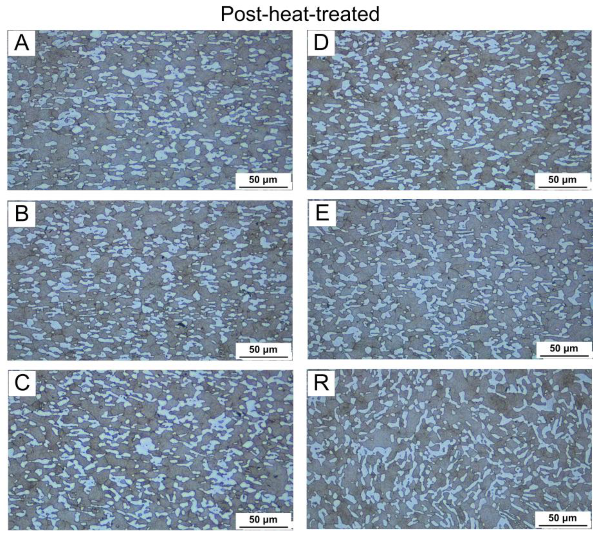 Metals 15 00244 g005