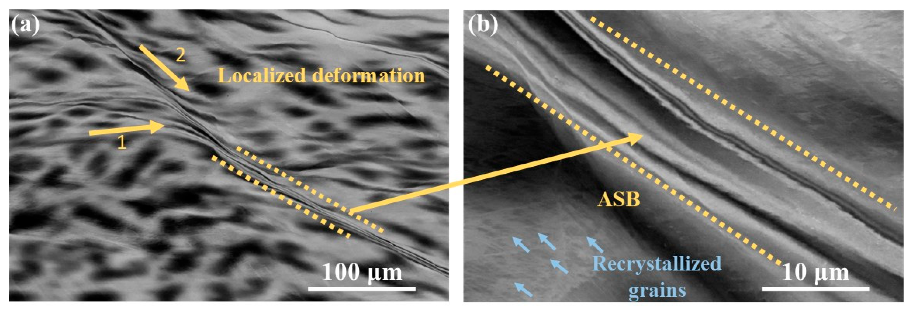 Metals 15 00249 g005