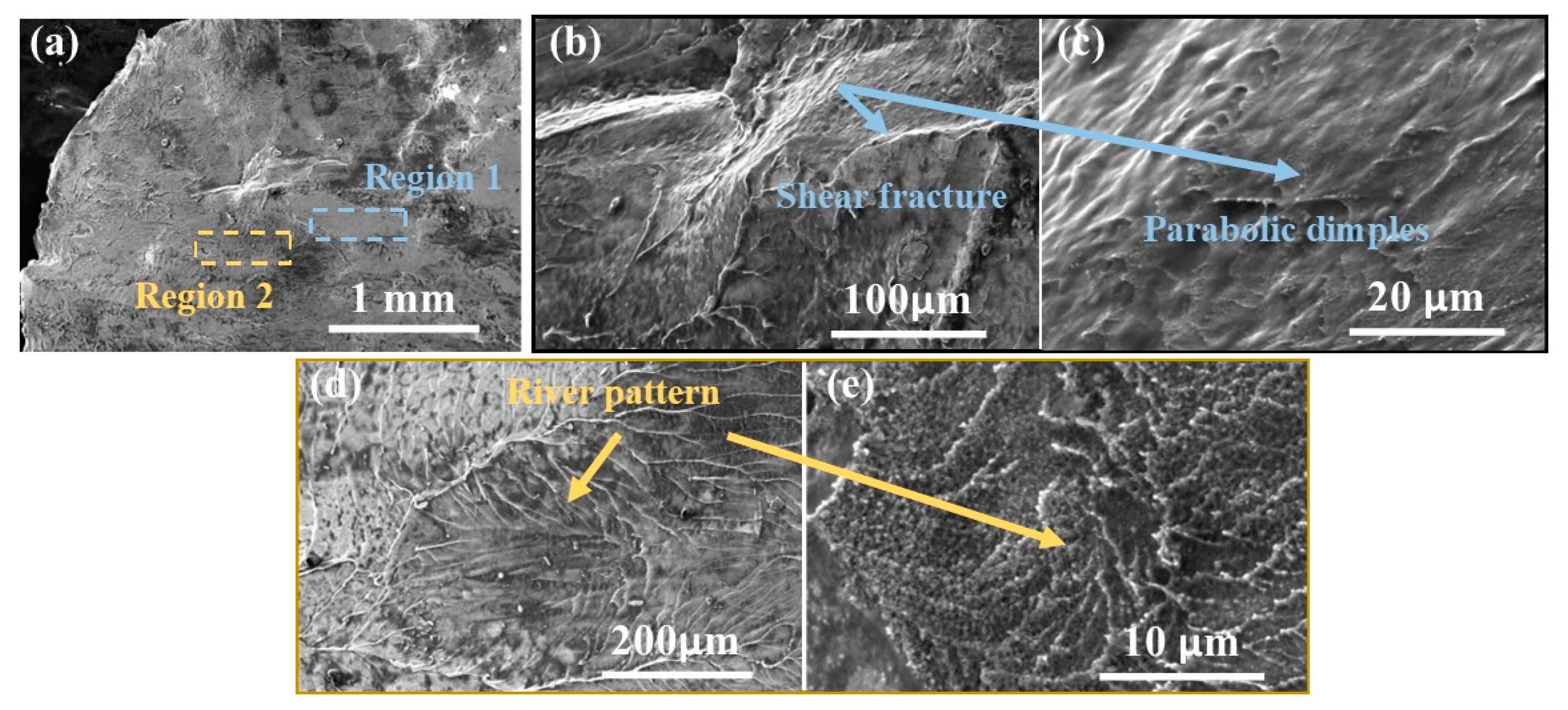 Metals 15 00249 g006