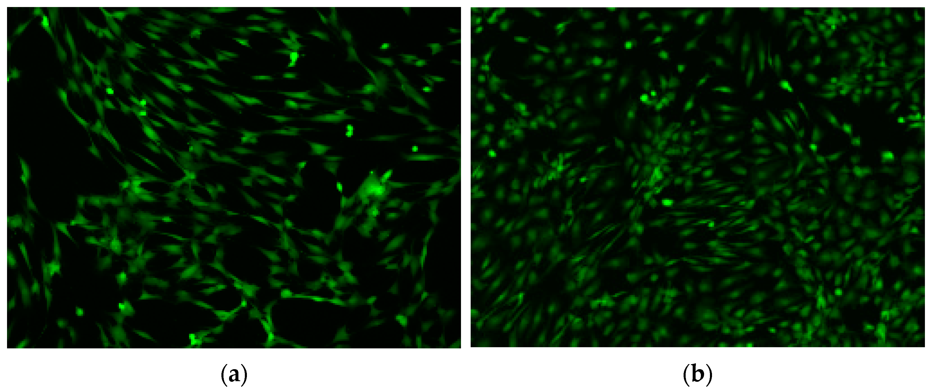 Metals 15 00259 g011