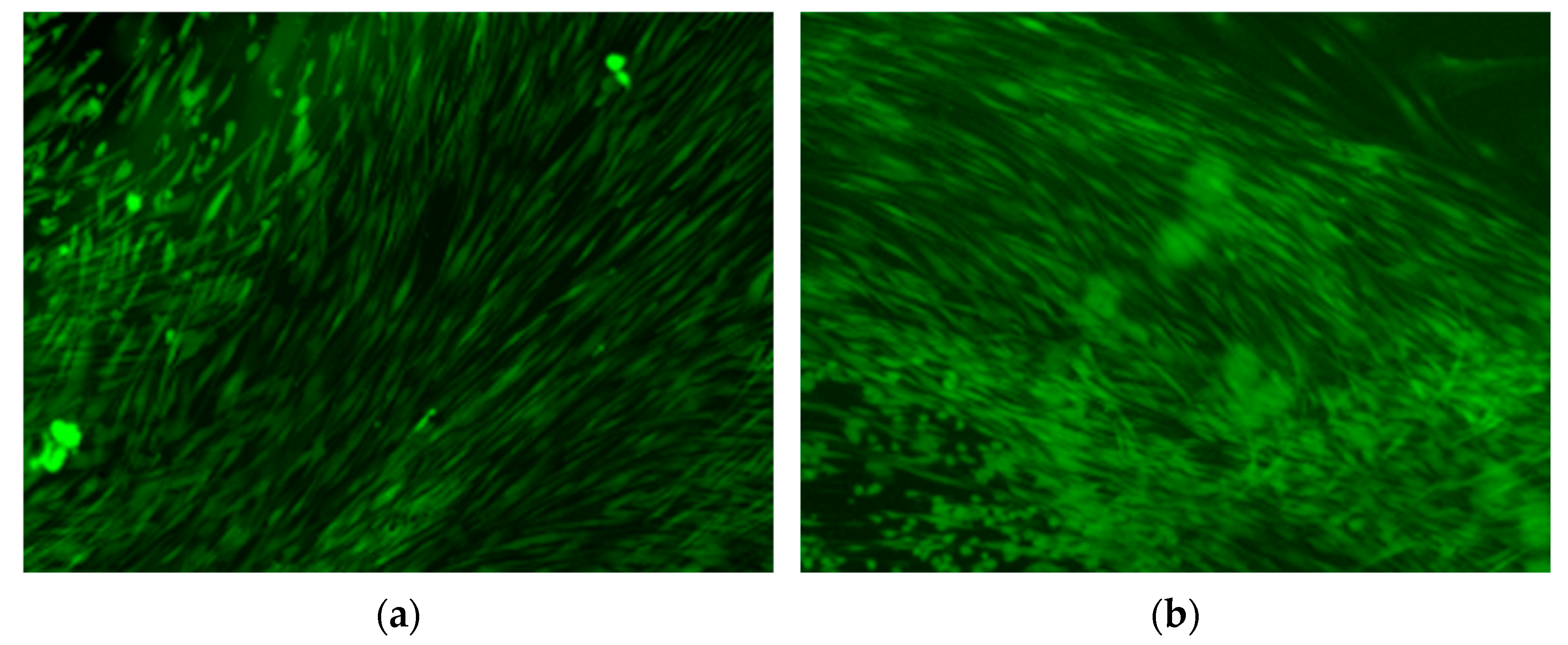 Metals 15 00259 g012