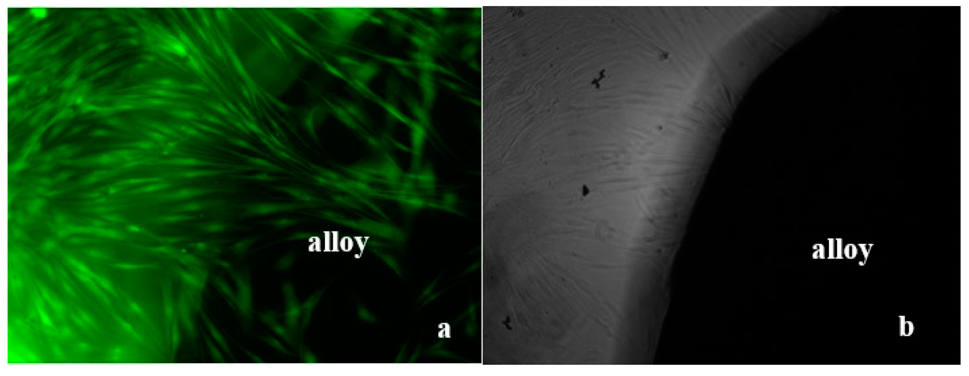 Metals 15 00259 g013