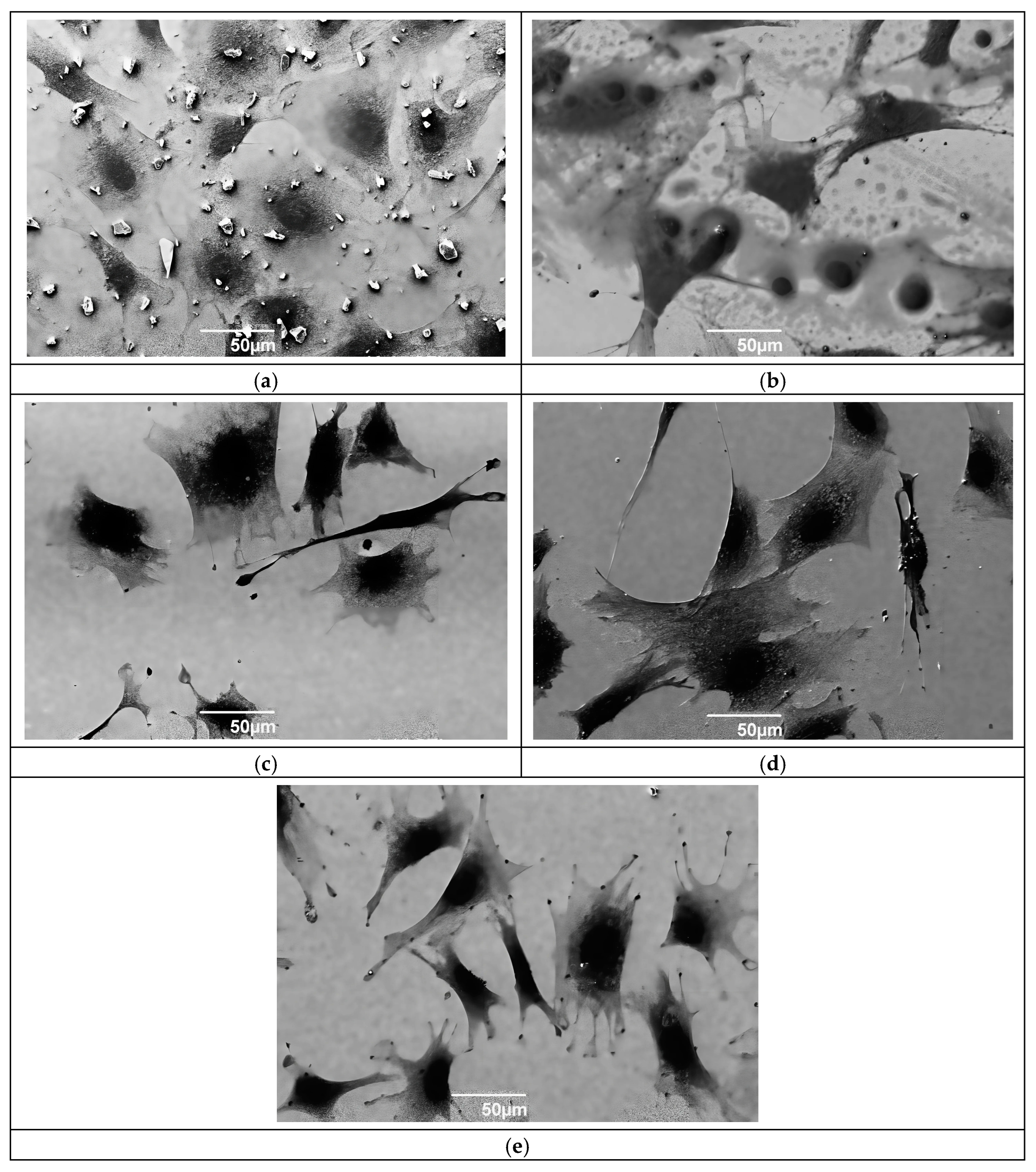 Metals 15 00272 g008