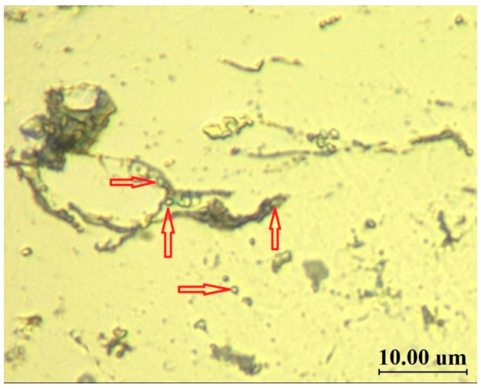 Metals 15 00285 g001